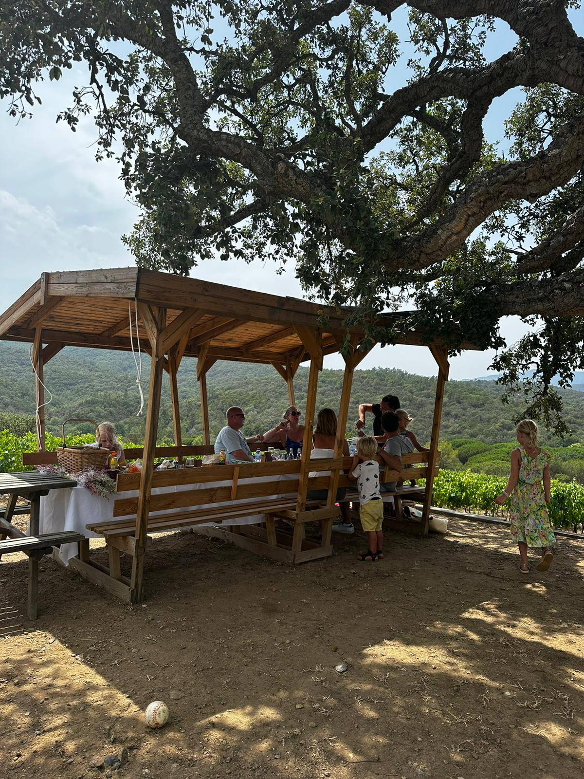 Picnic: Prestige Formula