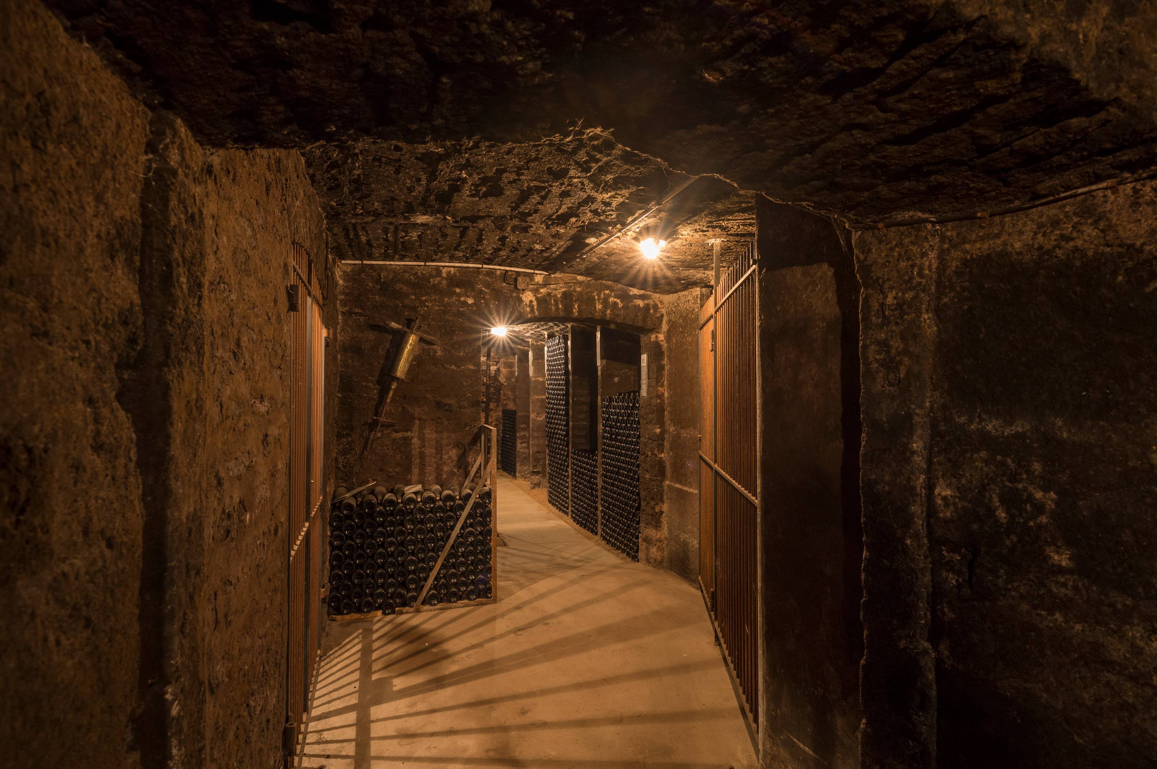 Cellar visit & tasting