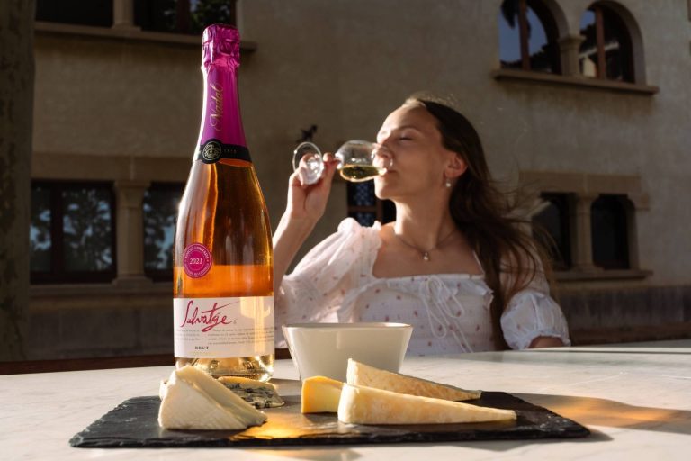 Visit with wine and cheese tasting