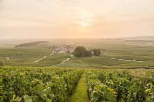 CHAMPAGNE LOUIS BROCHET