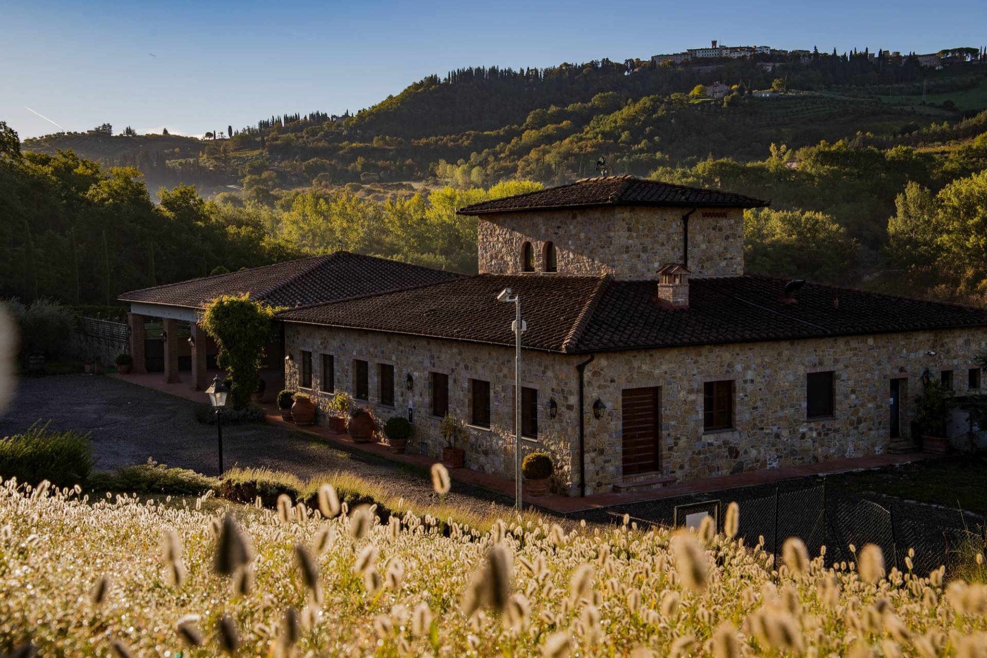 Chianti Classico Experience: 3 wines and 1 Vermouth