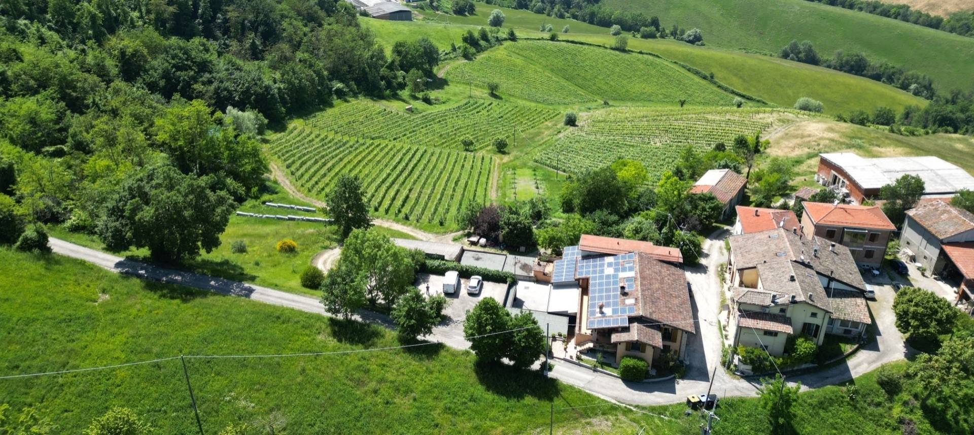 LA BANDINA TRADITIONAL WINES