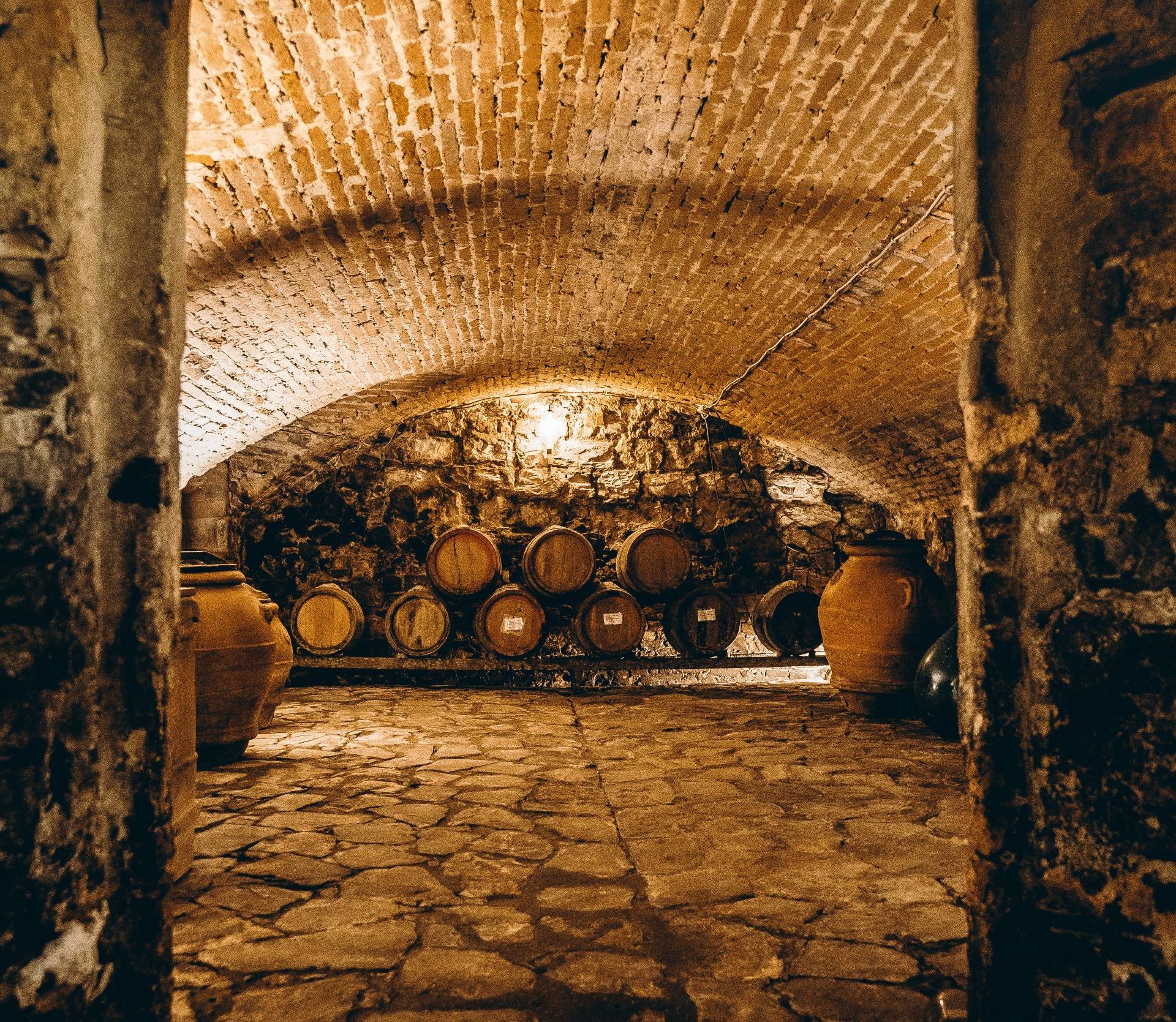 Vintage of the Author: A Journey Through Our Great Wines