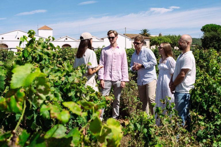 Visit and wine tasting at Finca Nadal