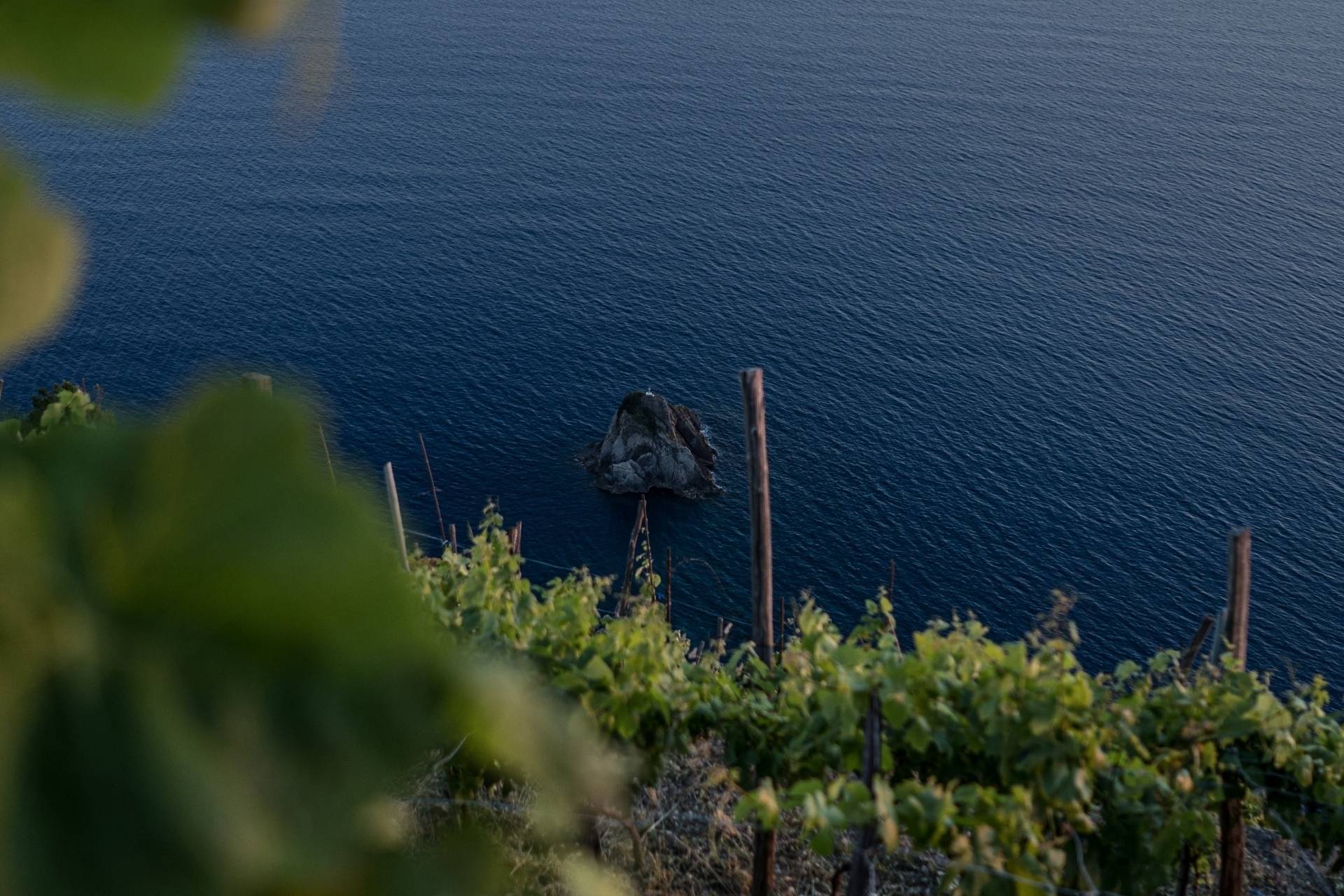 La Spezia: 3-wine tasting in a historic winery