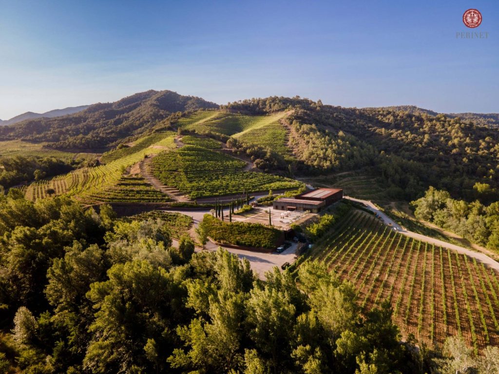 Classic Visit & Tasting