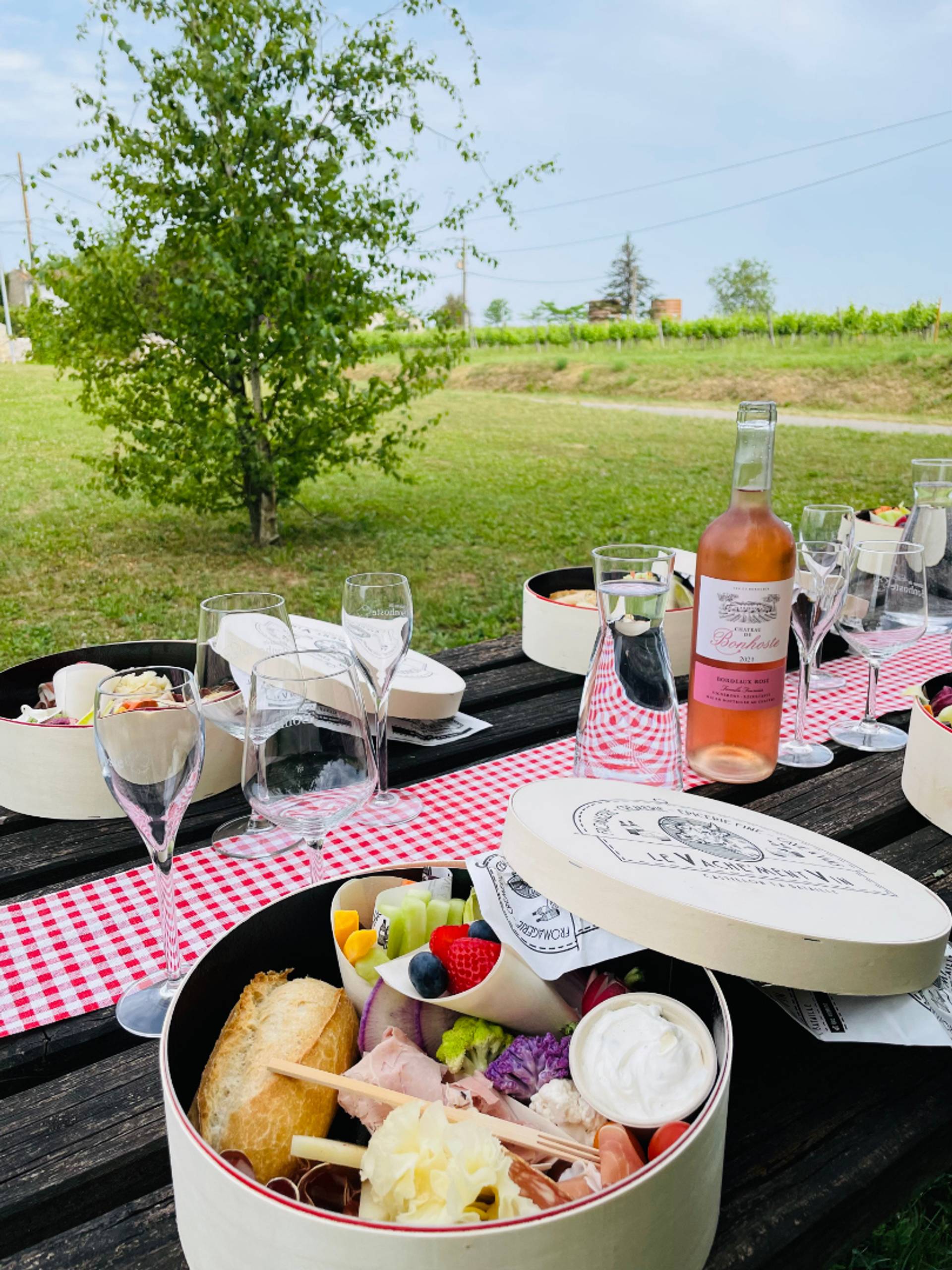 Visit and Picnic at Bonhoste