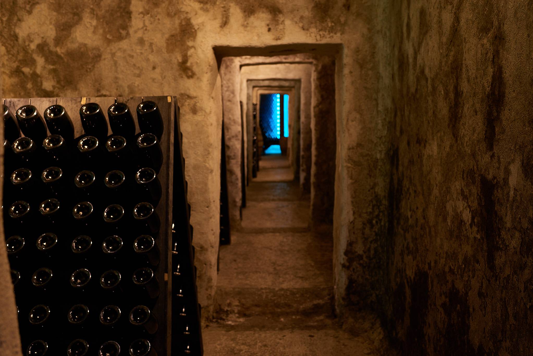 Mani del Sud Experience