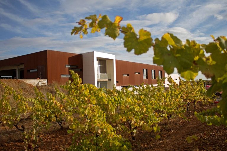 Technical visit to Leyendadelpáramo with tasting