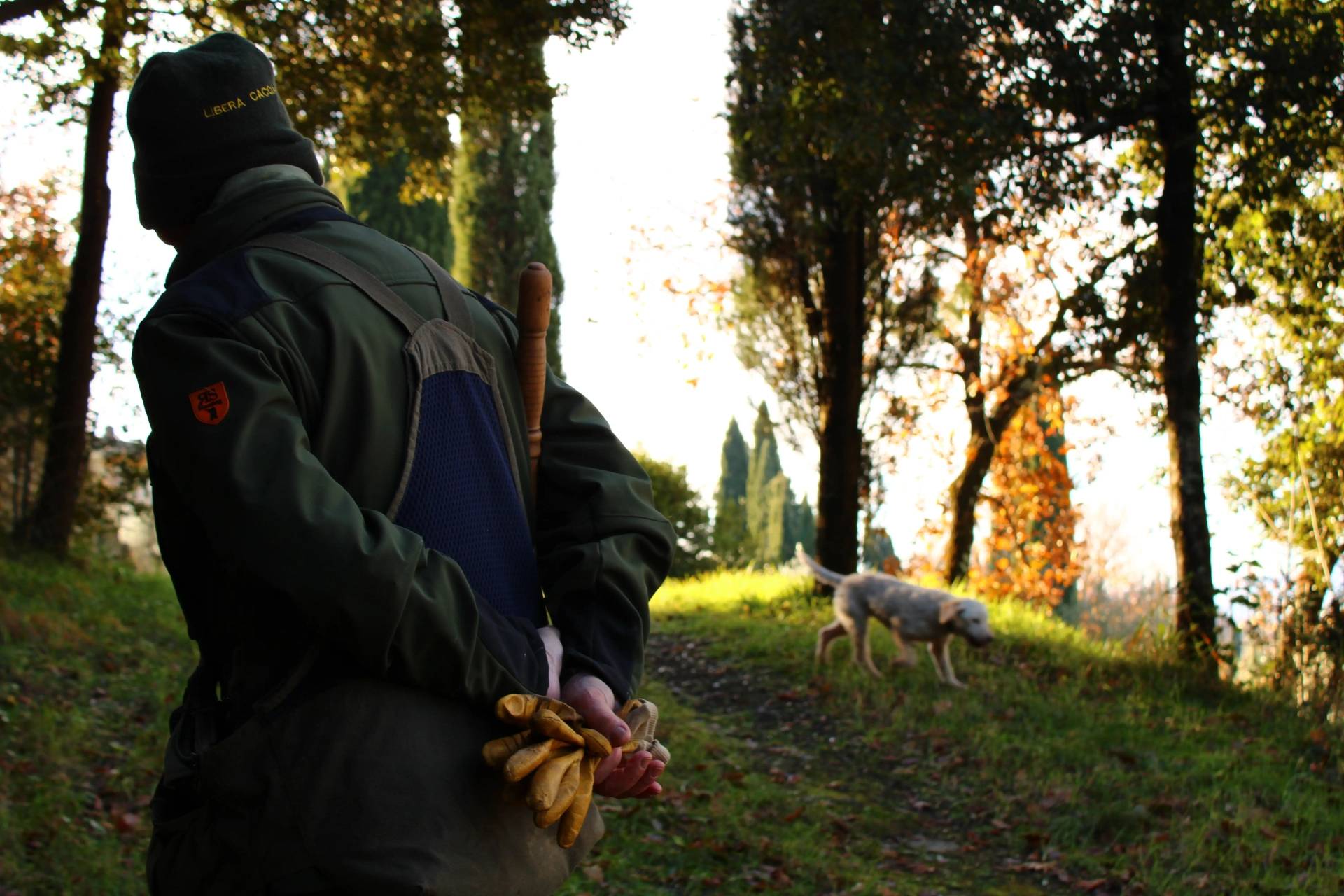 Truffle Hunting with Tasting and Lunch