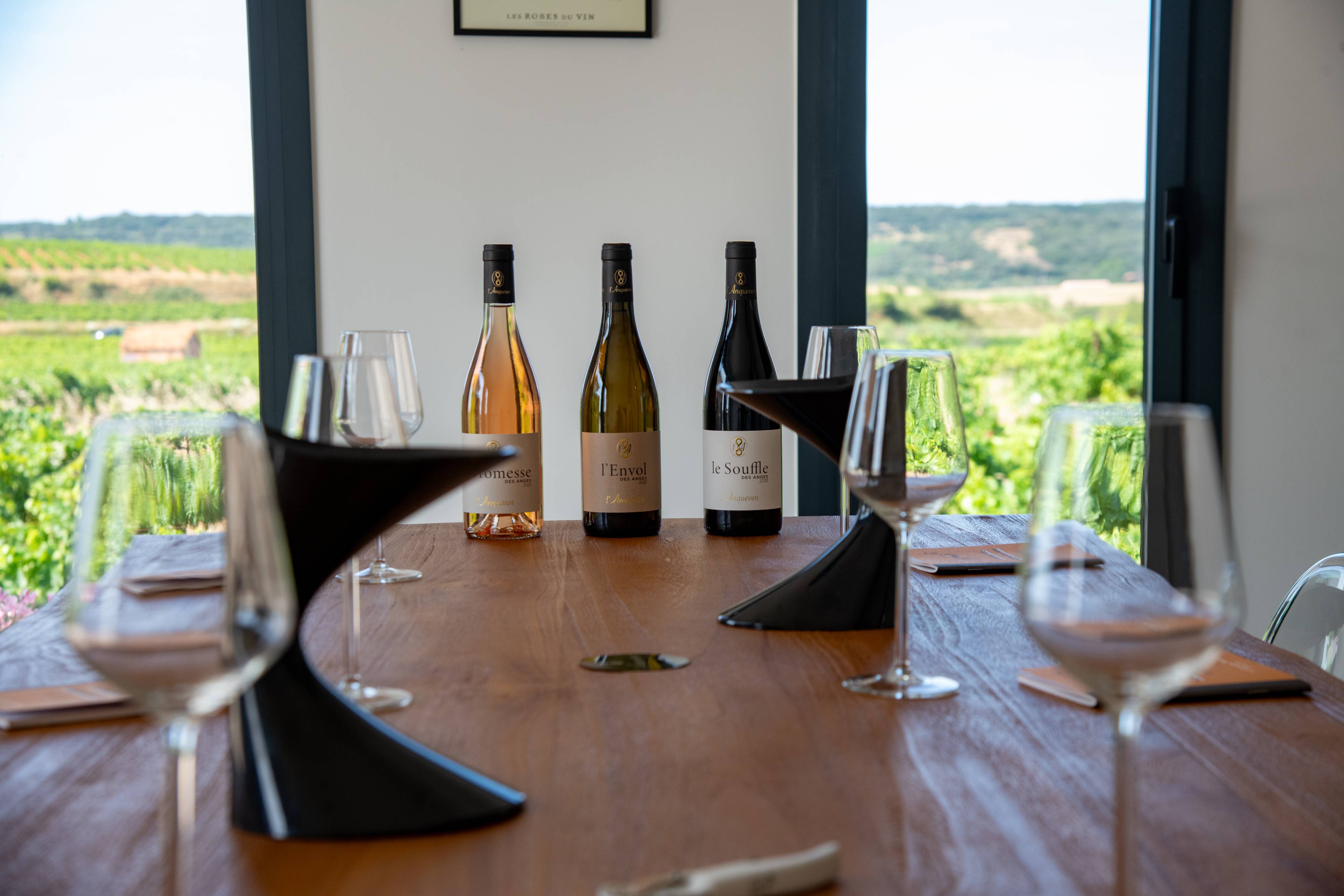 Introduction to wine tasting