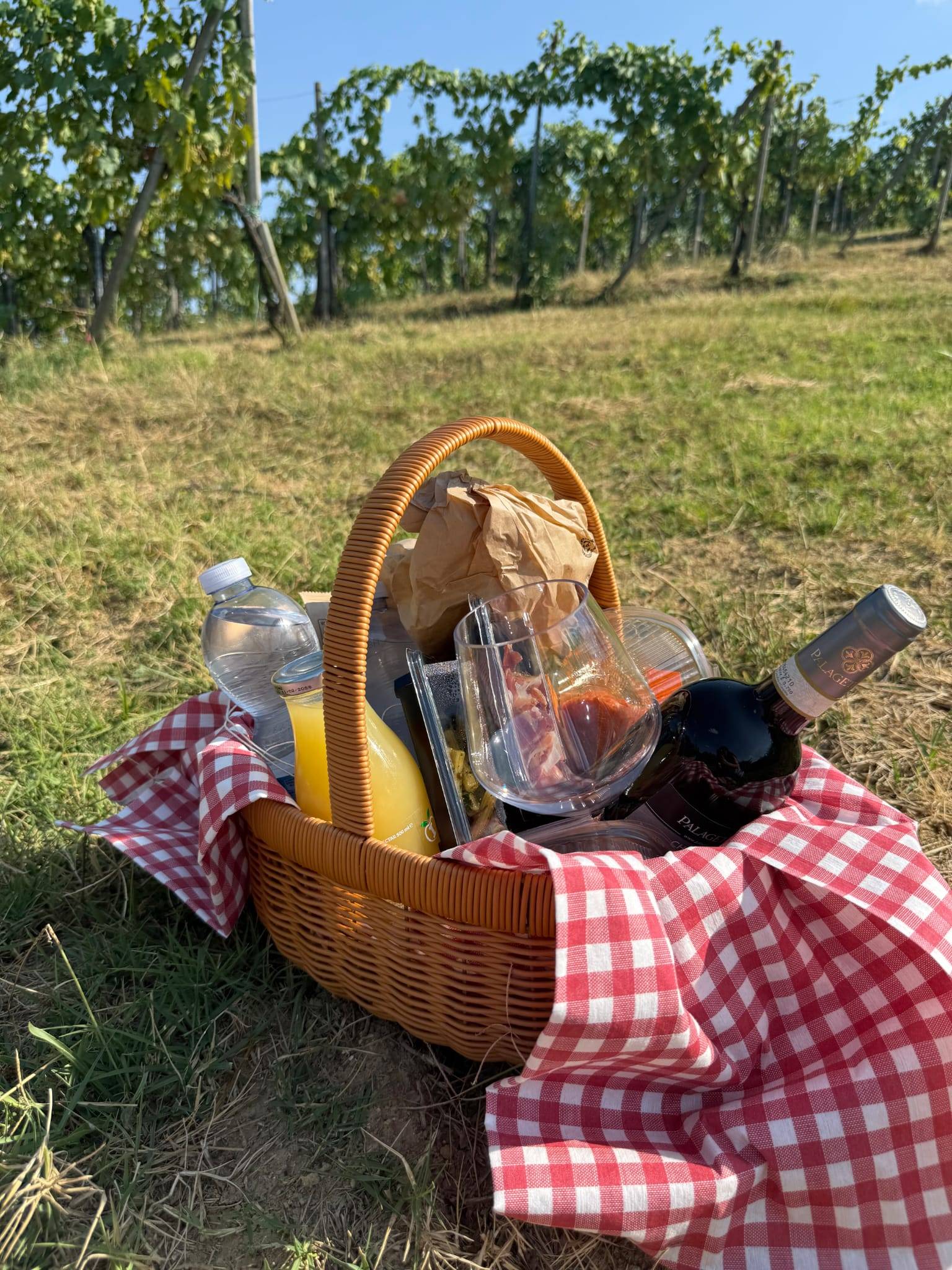 Picnic in the vineyard