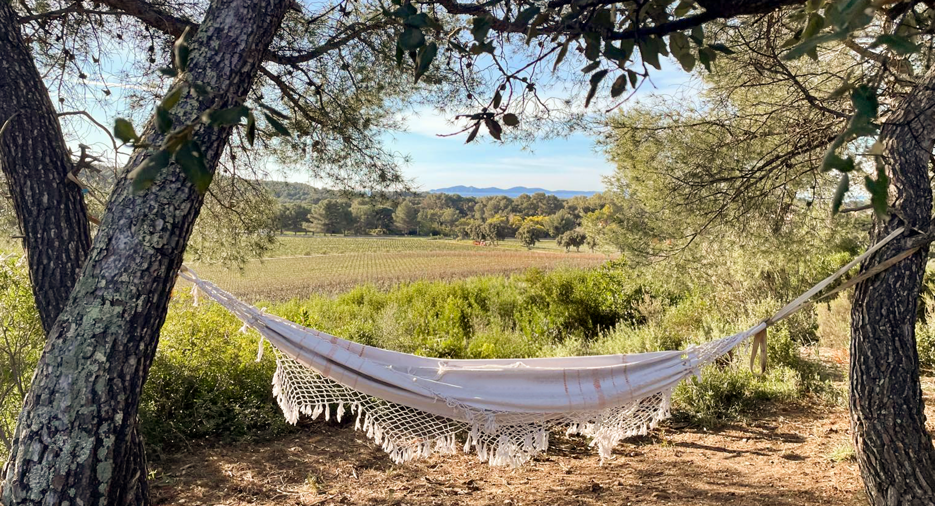 Relaxing or napping in a hammock