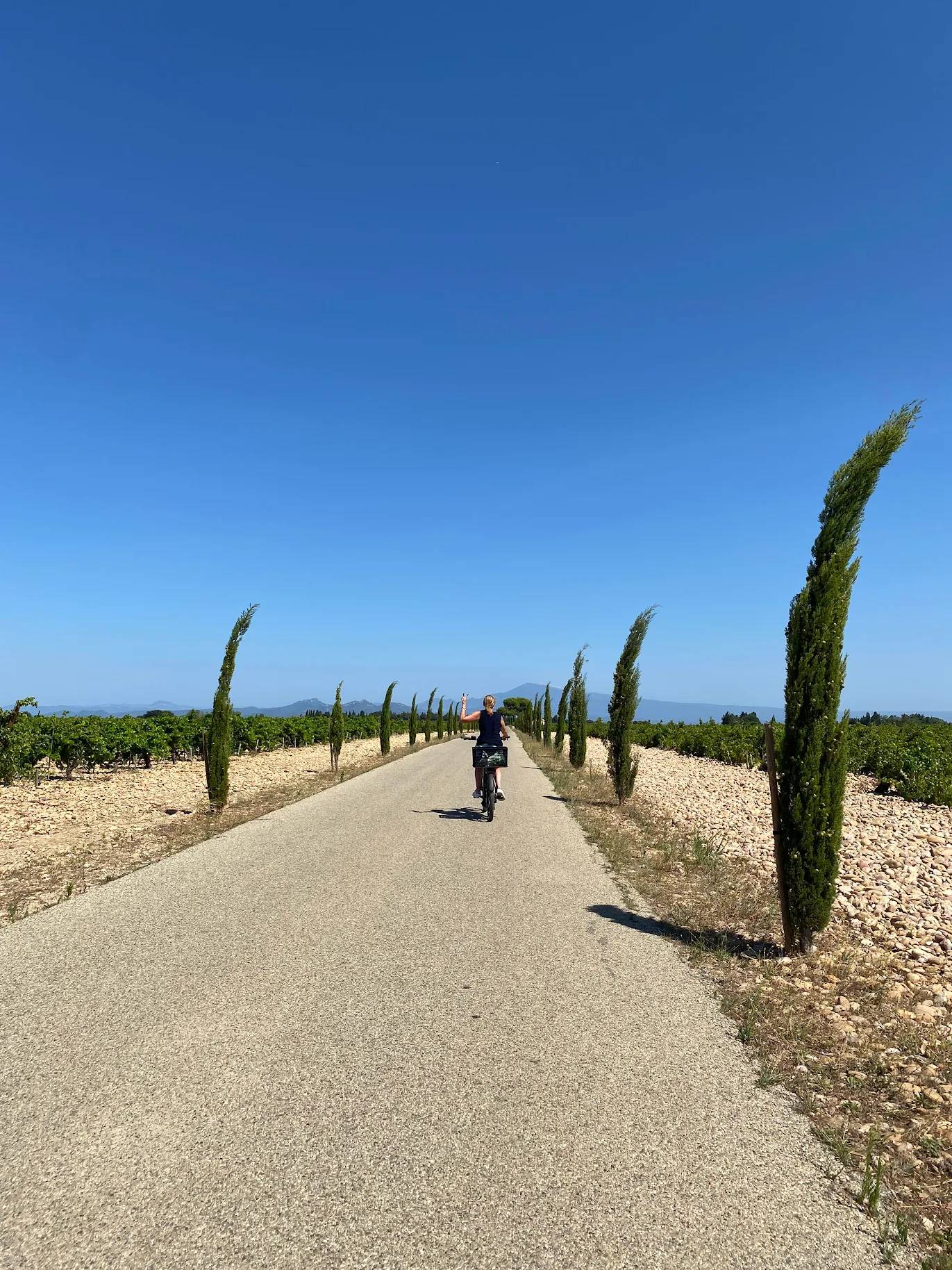 Winegrower’s walk through the heart of the terroirs