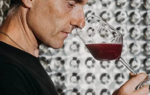 Tour with the Winemaker