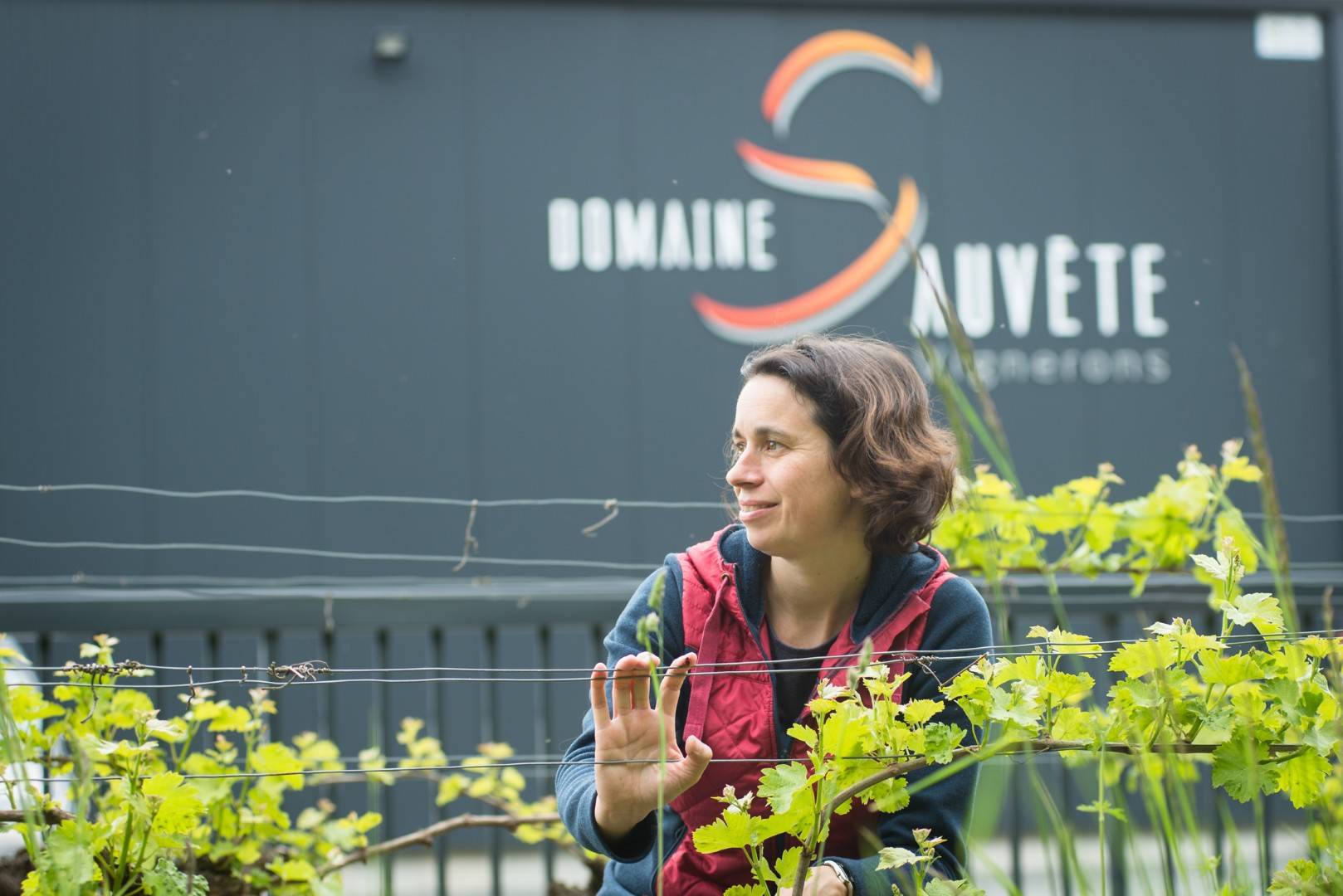 Winegrower Immersion: Exploring Terroirs and Grape Varieties