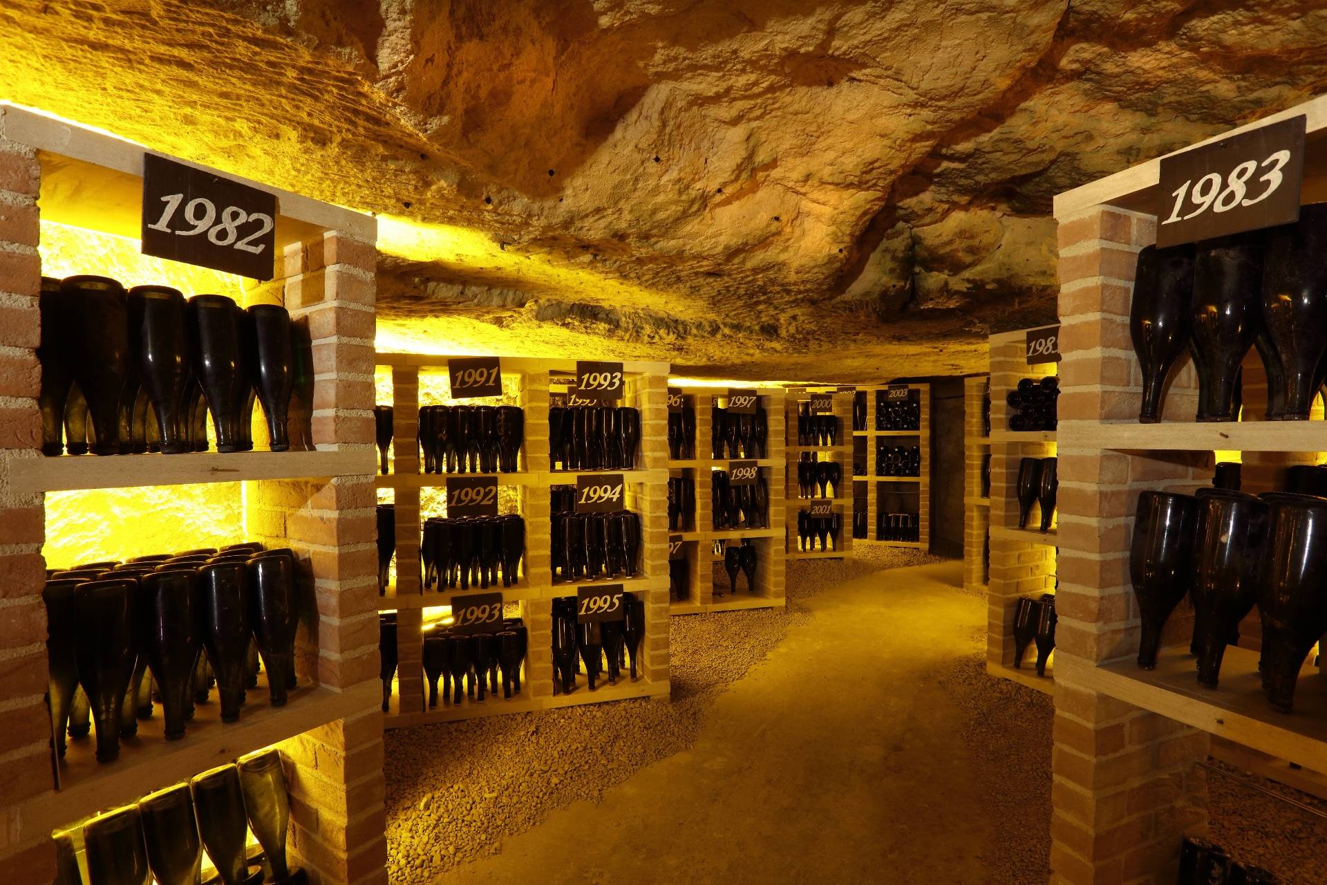 Visit and tasting of 2 cuvees