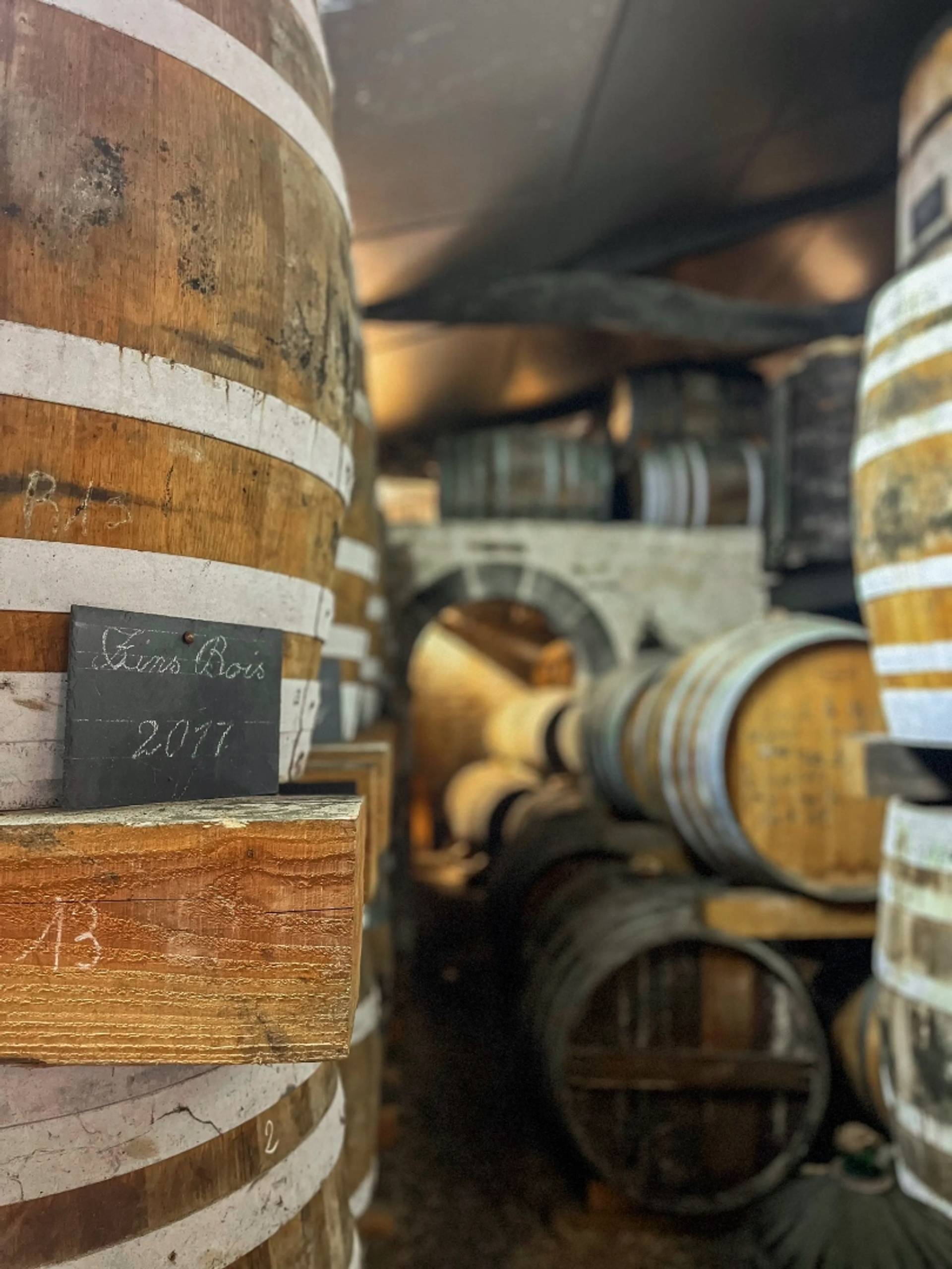 Les 1309 Distillery, Between Tradition and Modernity