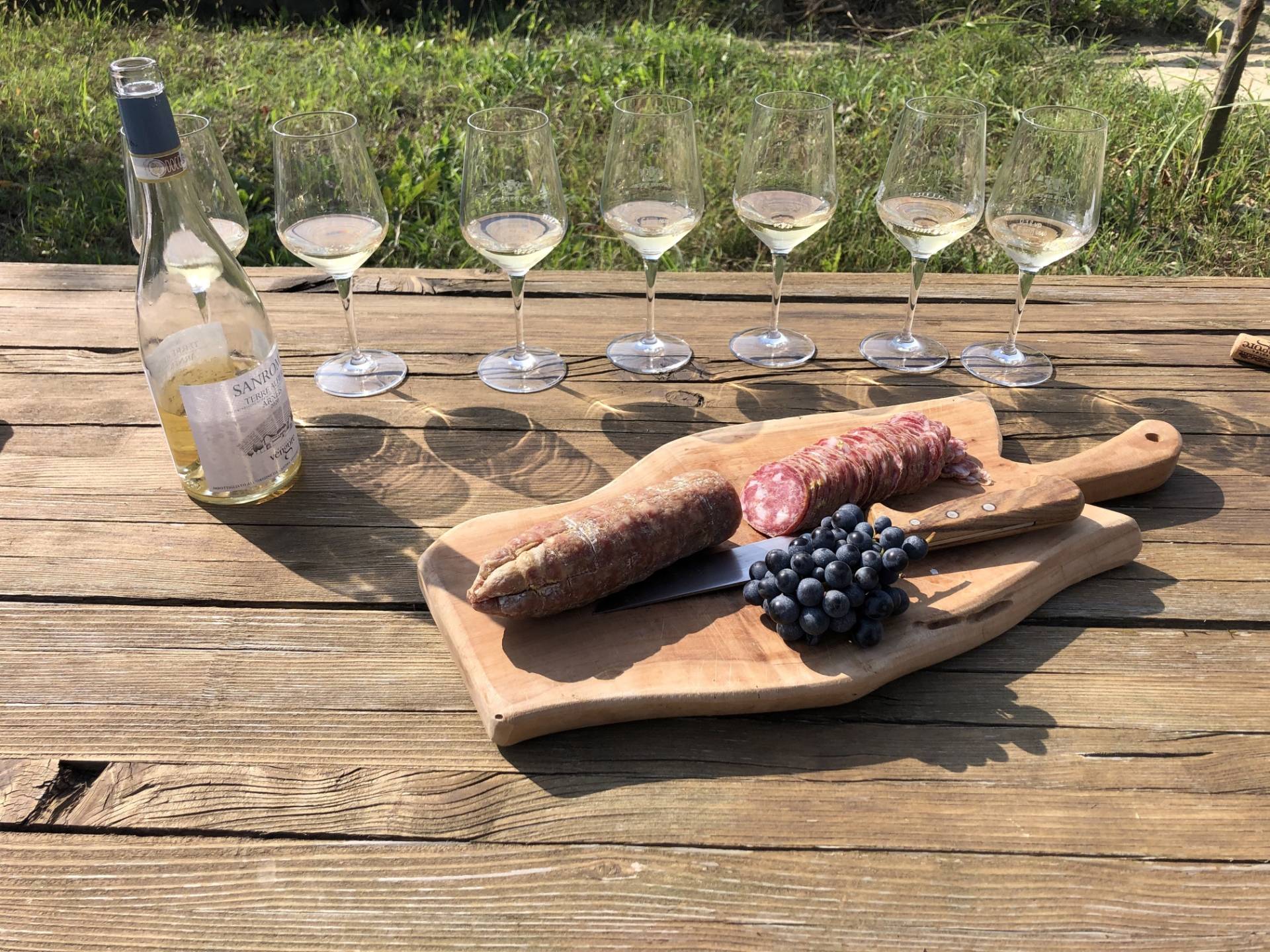 5 Organic Wines from Cascina Vèngore