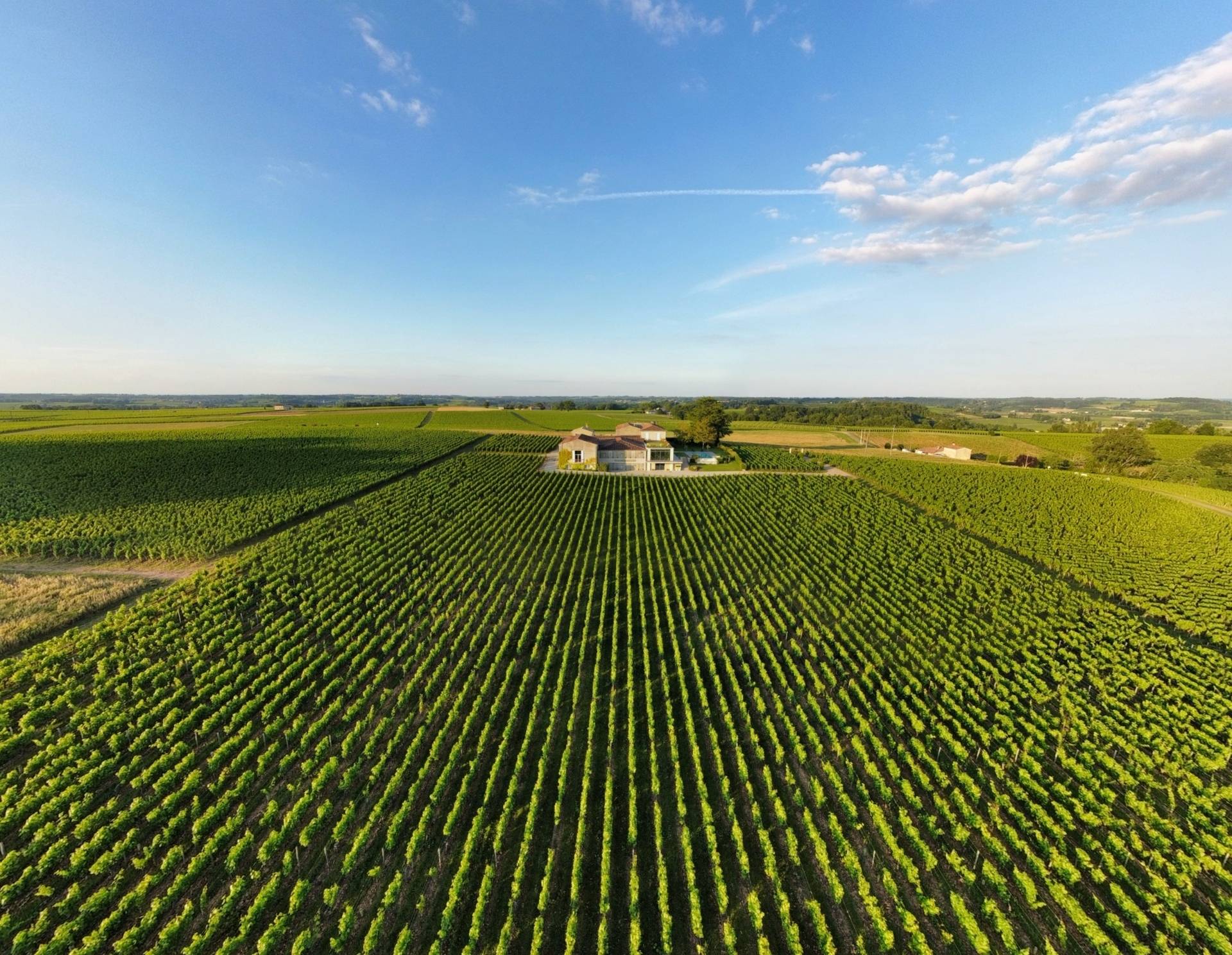 CHÂTEAU DESTIEUX, SAINT-EMILION GRAND CRU CLASSÉ