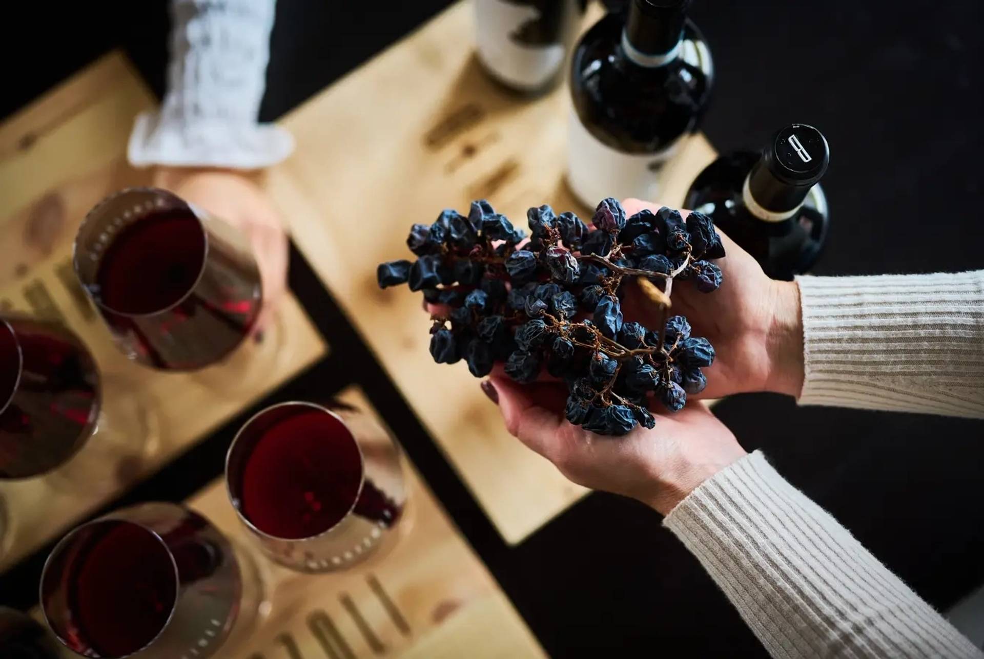 Benazzoli Wine Experience