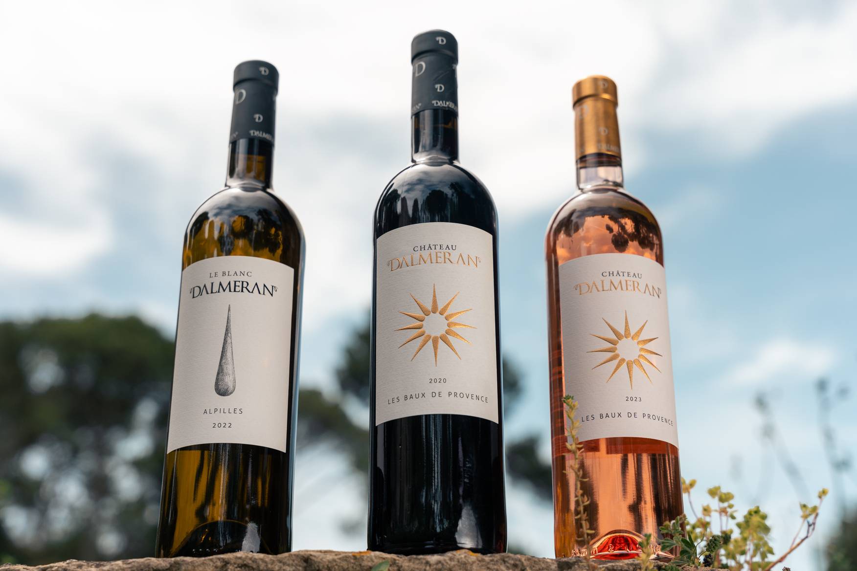 Discovery of the cellar & tasting