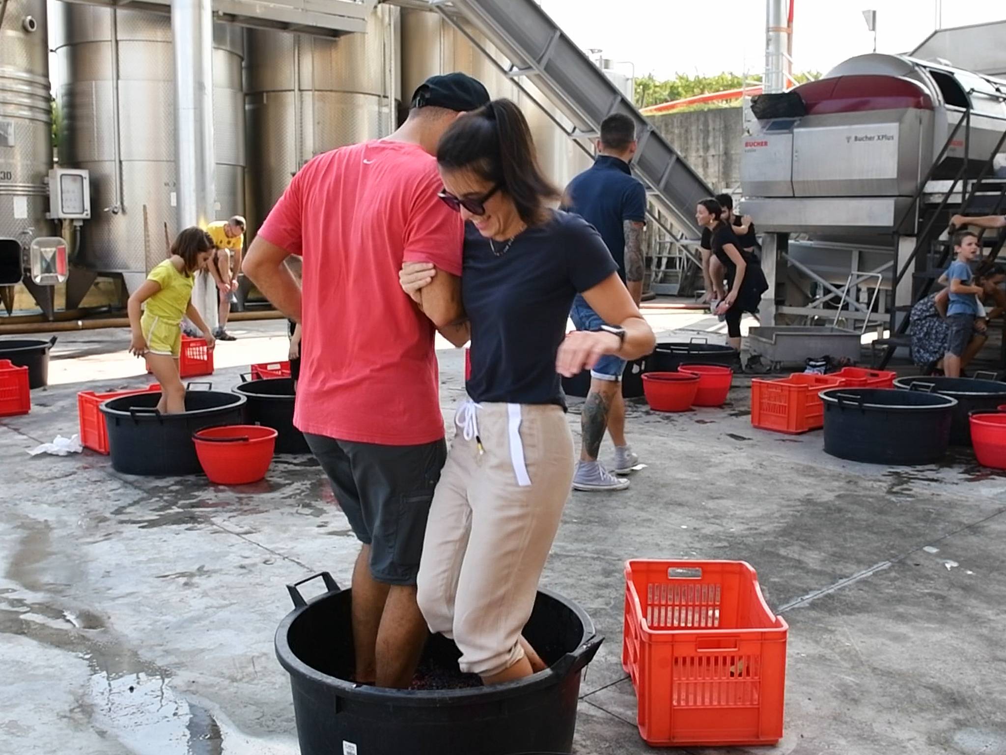 Experience the harvest