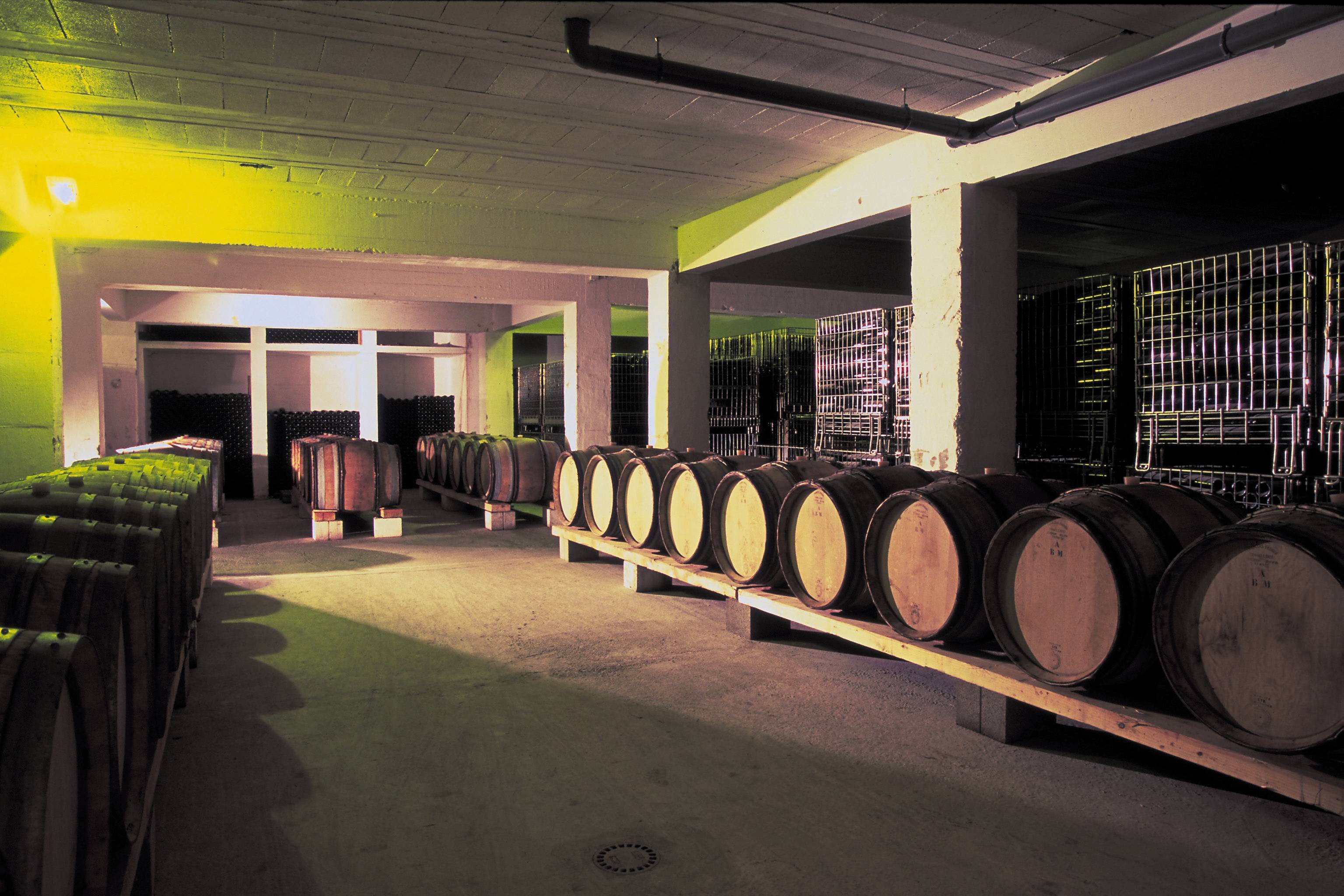 Winegrower ride in 4×4 and tasting