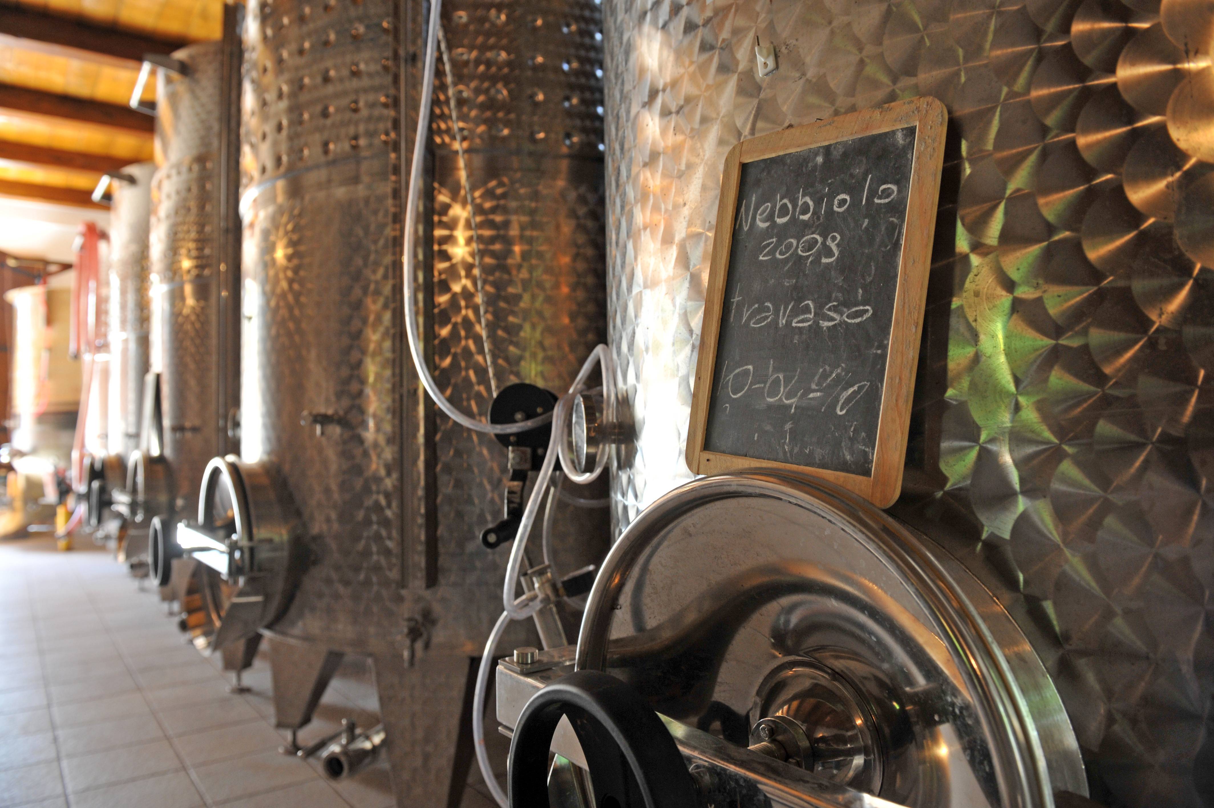 Winery tour & Tasting of three D.O.C. Fontechiara Wines