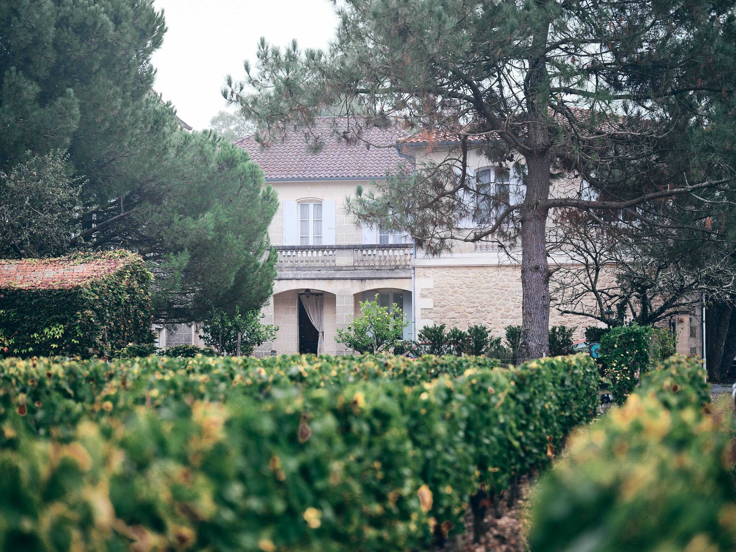 Amazing tasting in an 1896 cellar