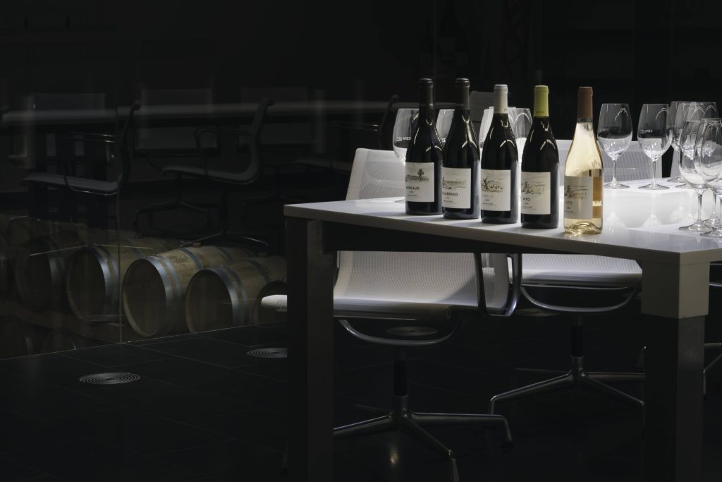 Tinto Fino Wine Pairing Experience