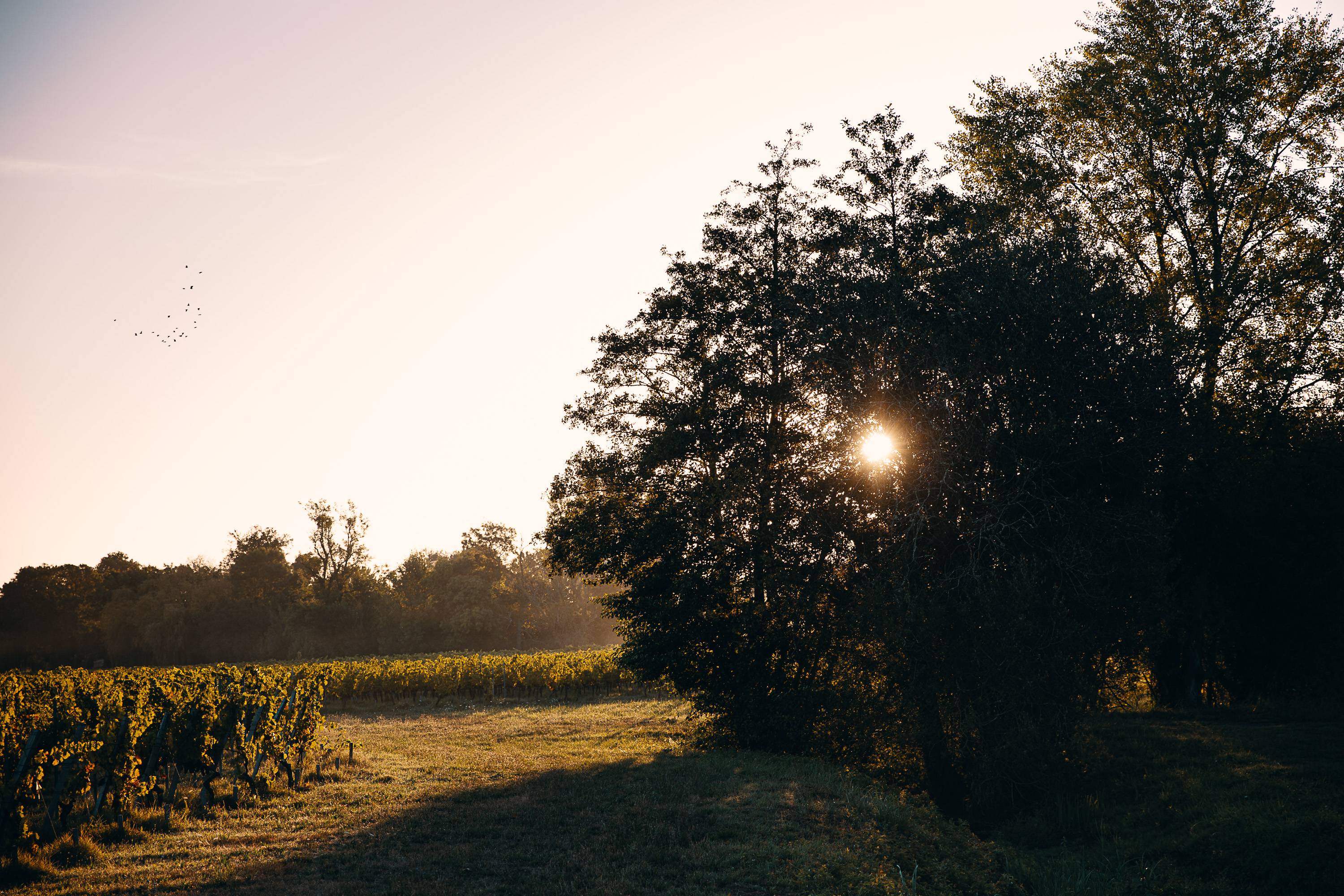 Visit with La Bulle Verte – 5km walking route