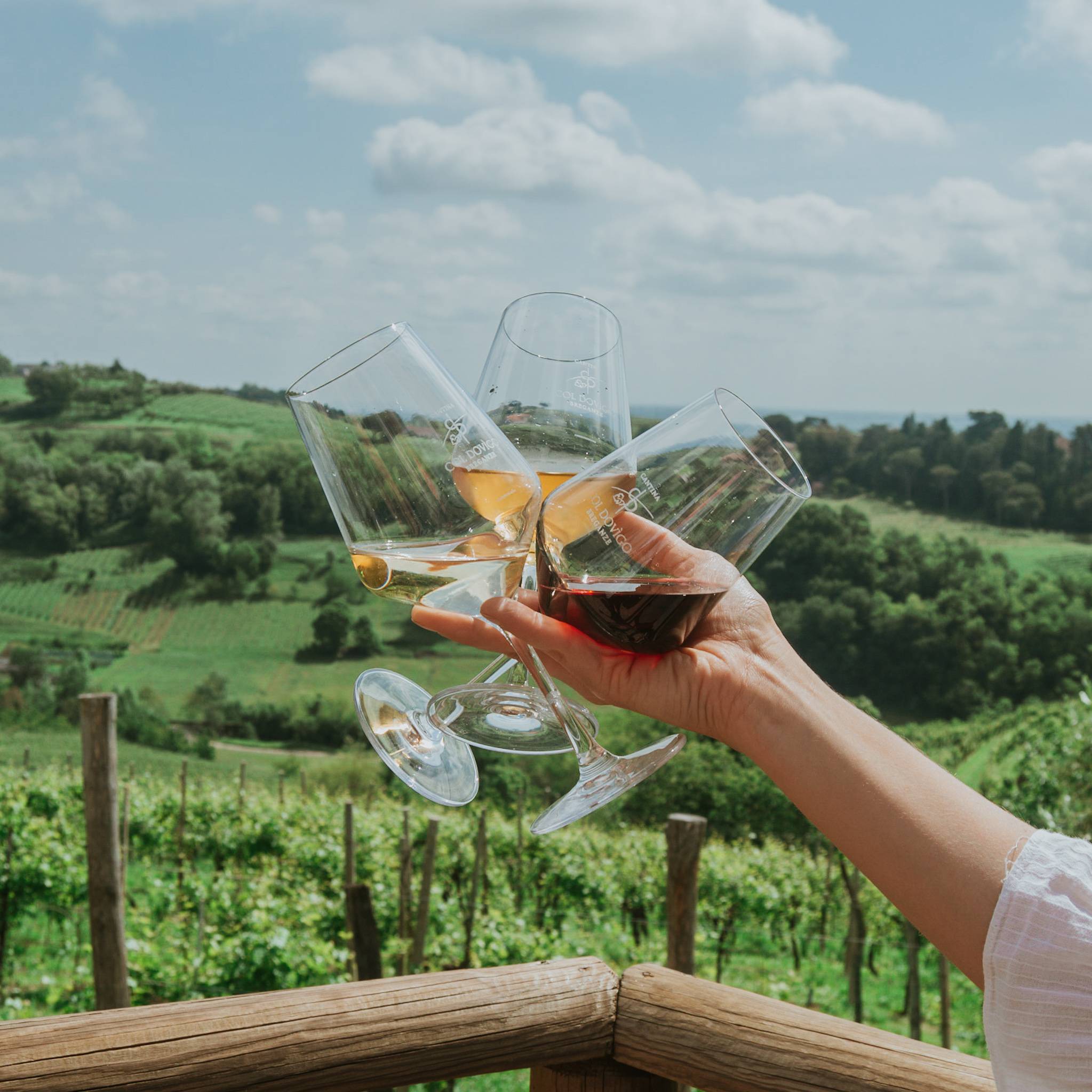 Presentation and tasting of 3 wines