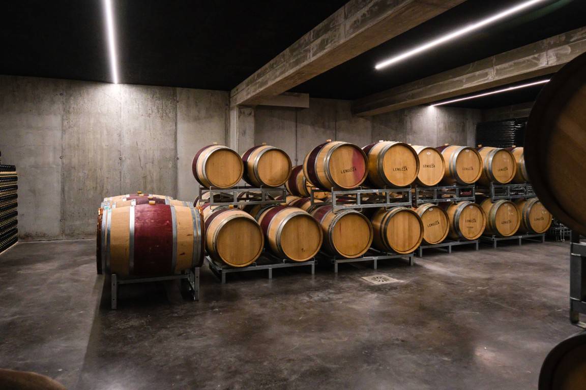 Wine Tasting Experience