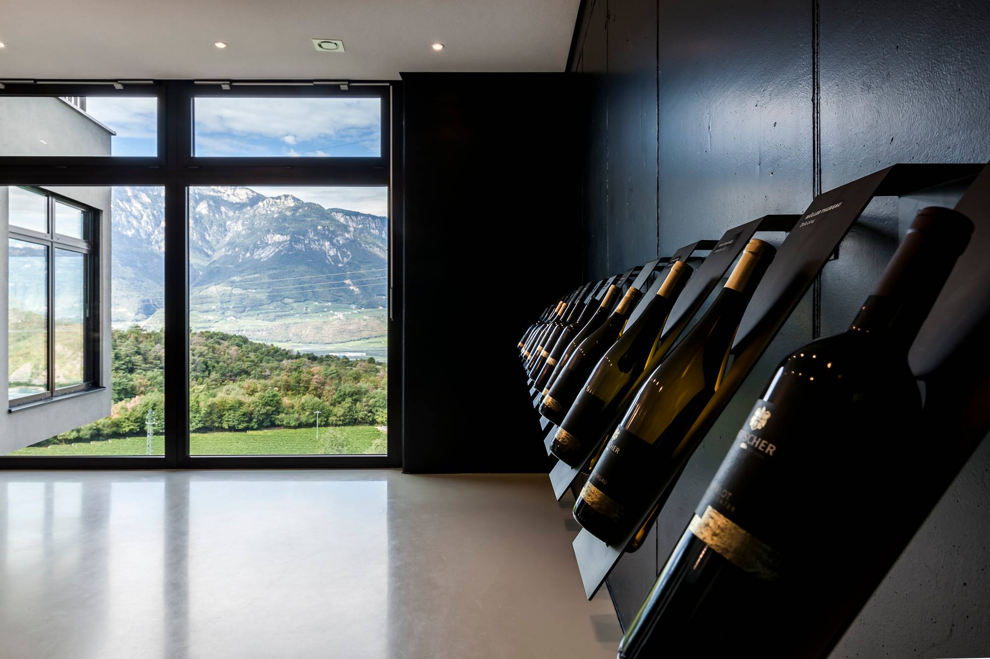 Pfitscher – Wine, history and landscape to experience