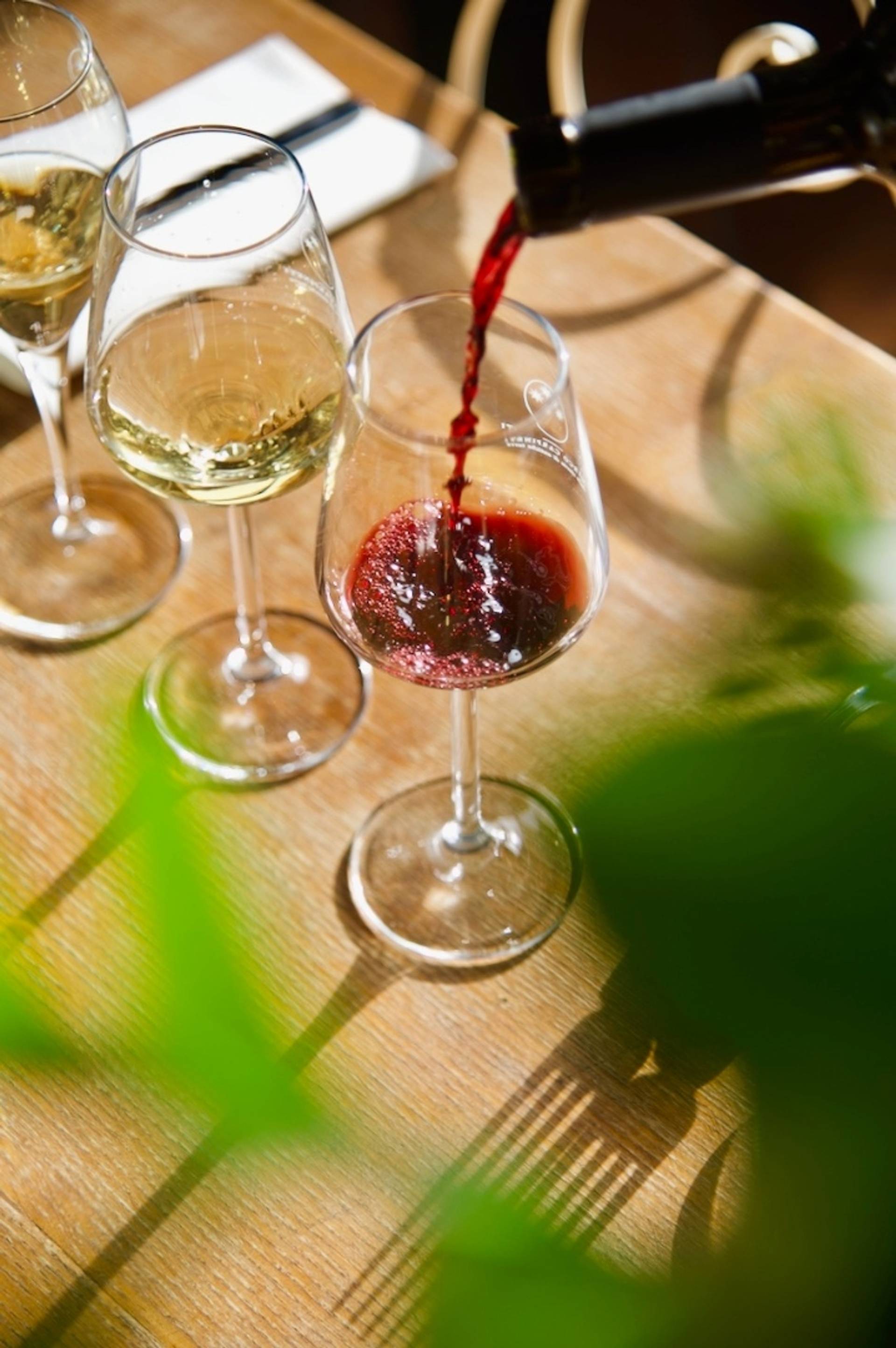 4 labels – The dynamic Wine Tasting