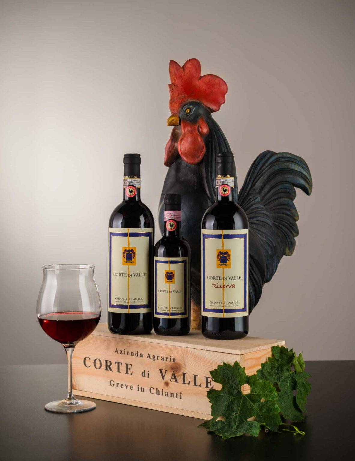 Wine Tasting in Chianti 5 Wines