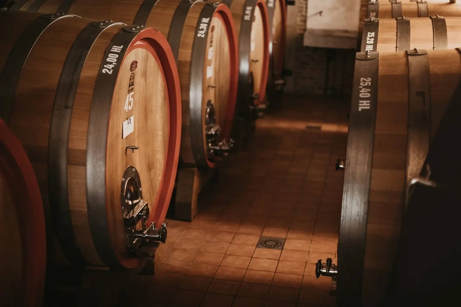 Nizza DOCG…vertical tasting!