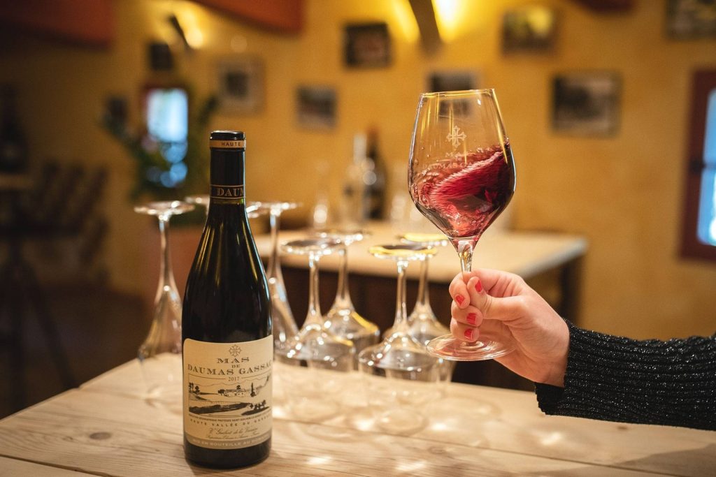 Visit and tasting at Mas de Daumas Gassac