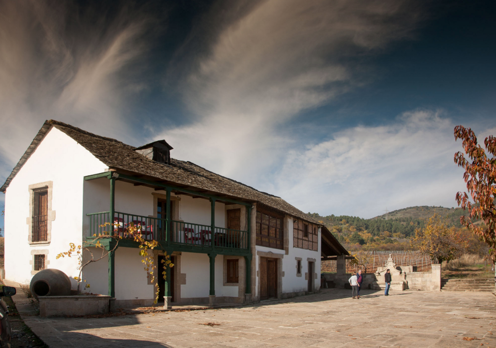 Discovering the wines of Luna Beberide