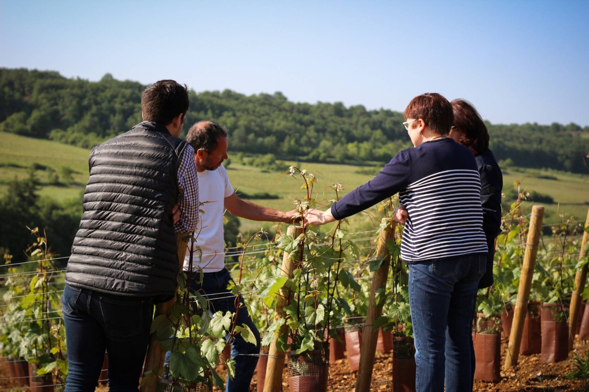 Wine Getaway and picnic