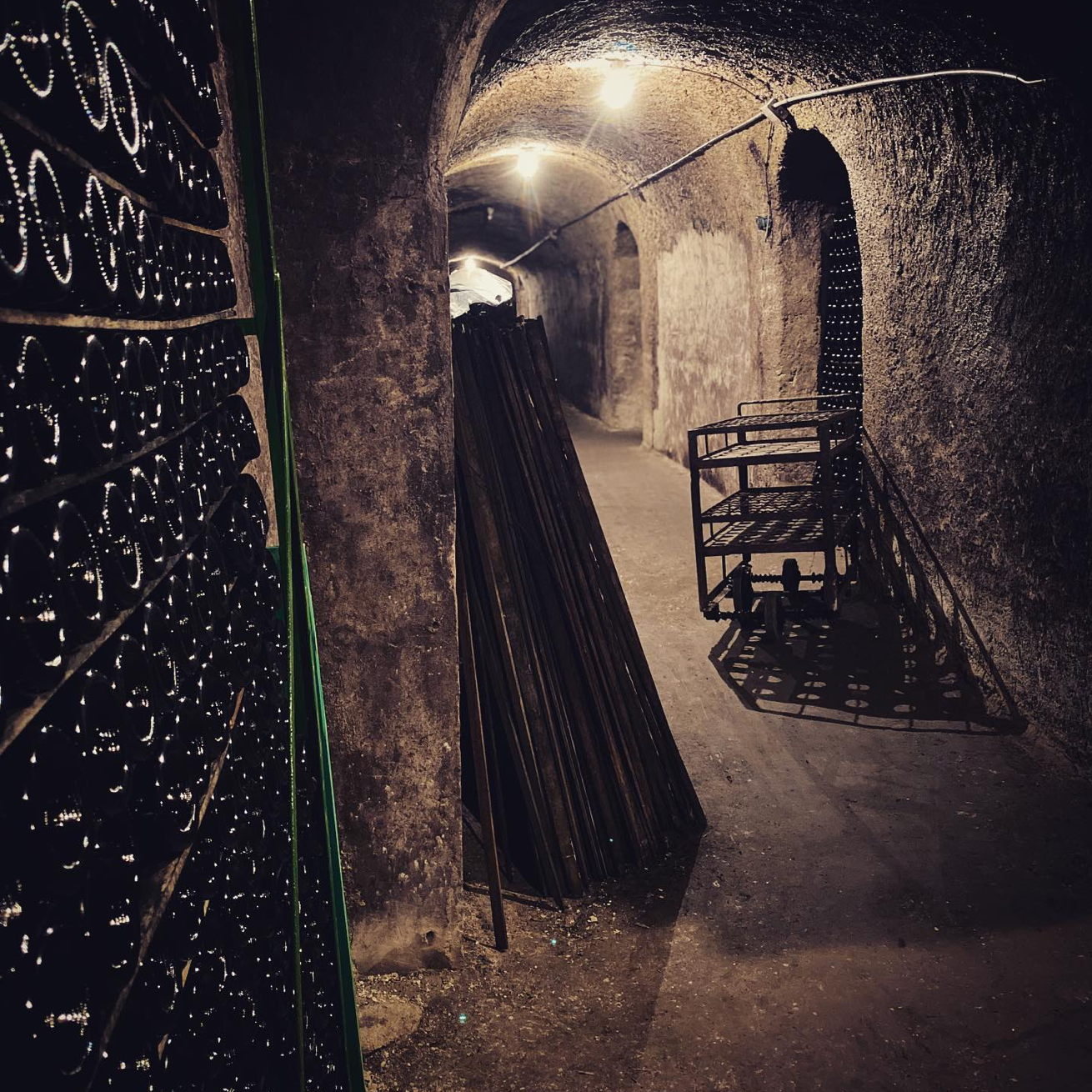 Cellar Visit and Tasting