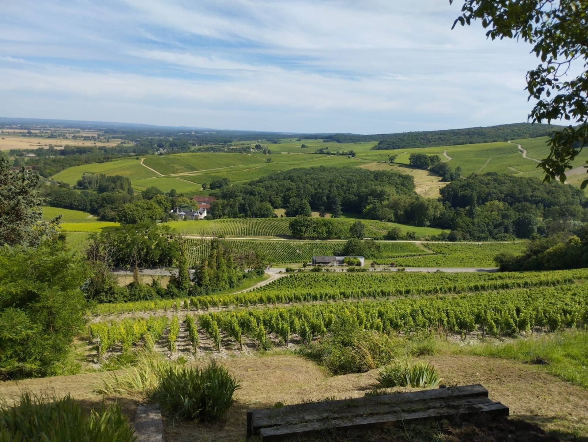 Walk in the heart of the vineyard