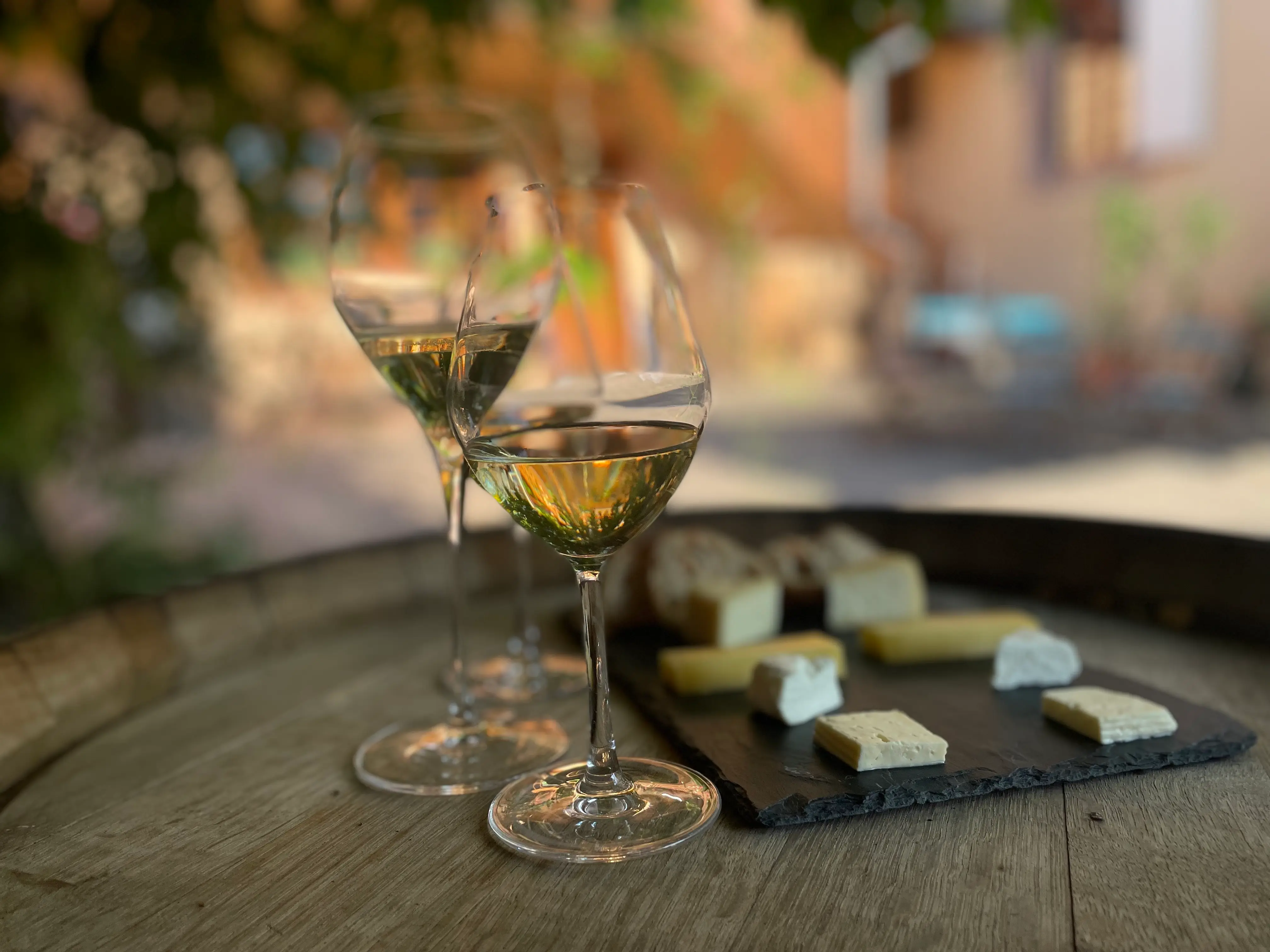 Immersion in the Munster Valley: Wines and Cheeses