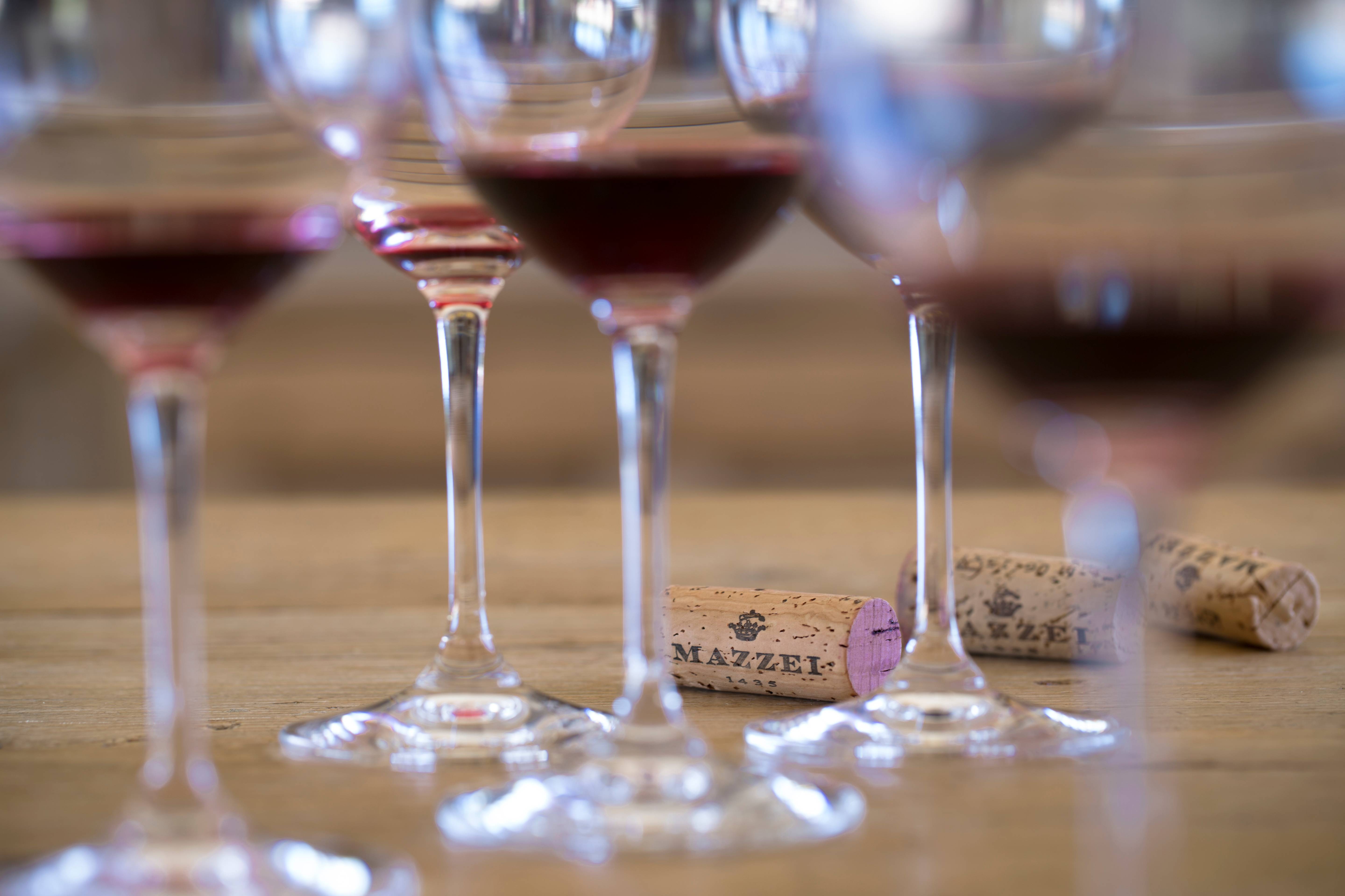 Fonterutoli Wine Tour & Tapas Lunch