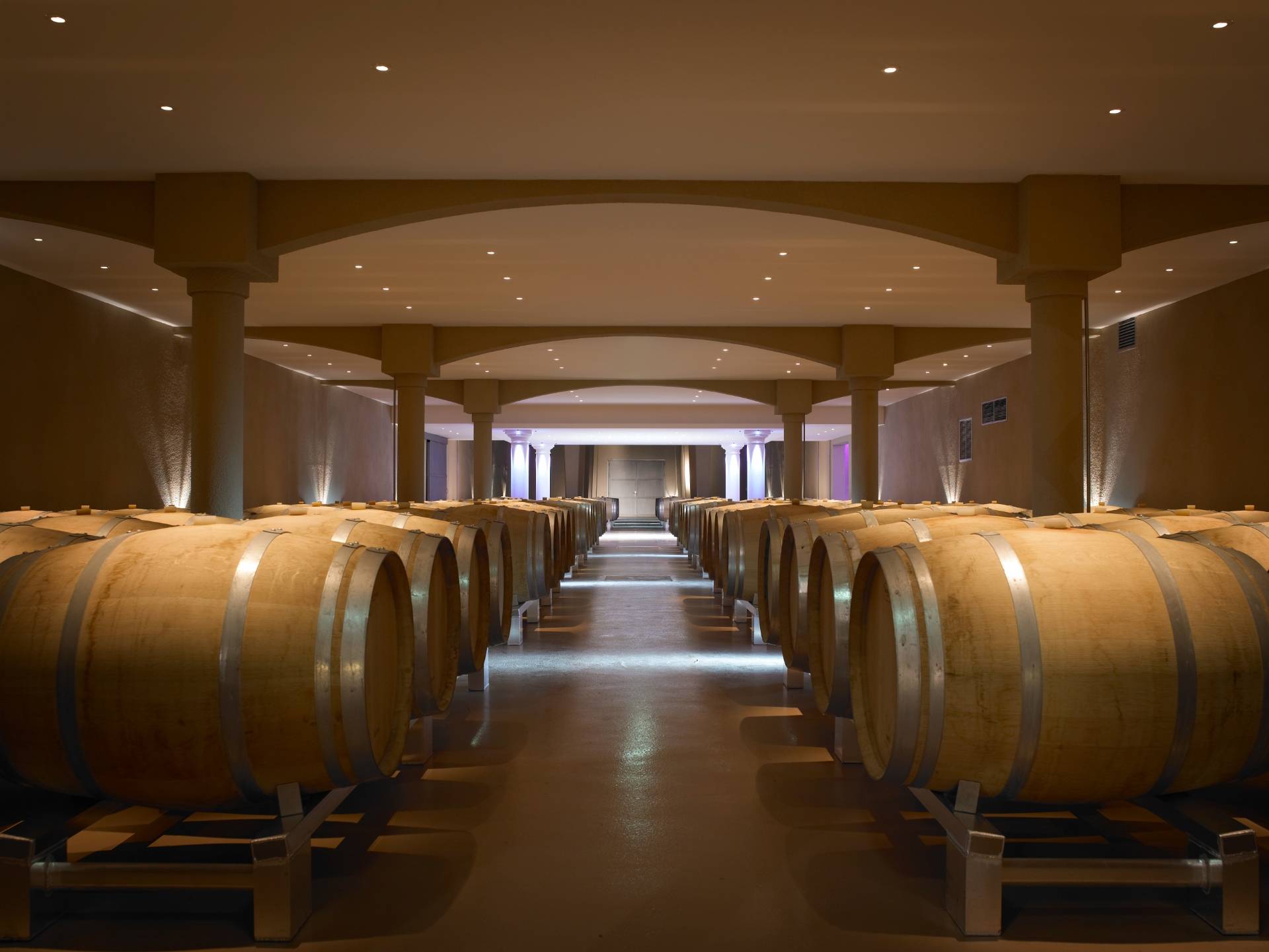 Visit our cellars and taste the estate’s wines