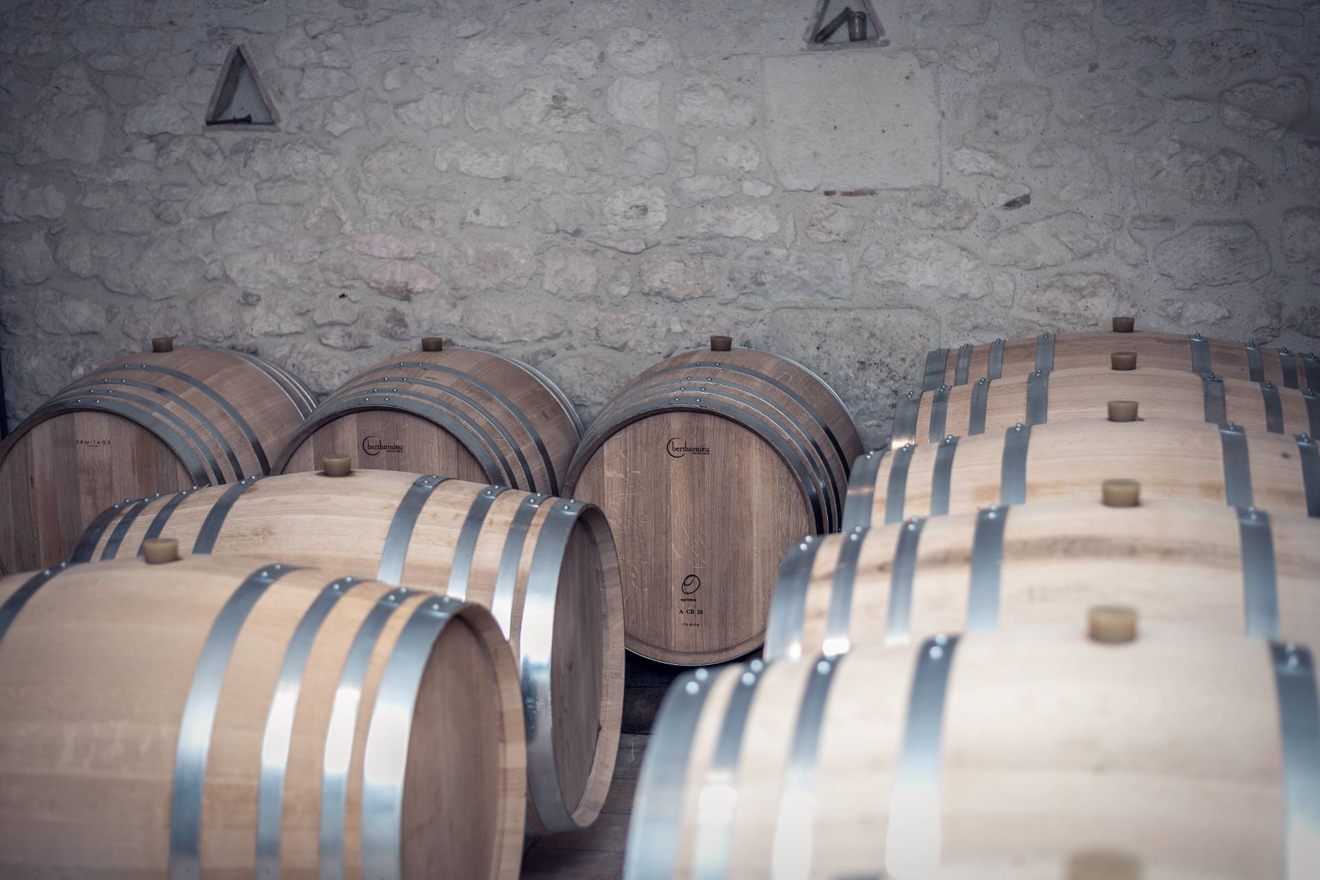 The visit, the Bergerac vineyard