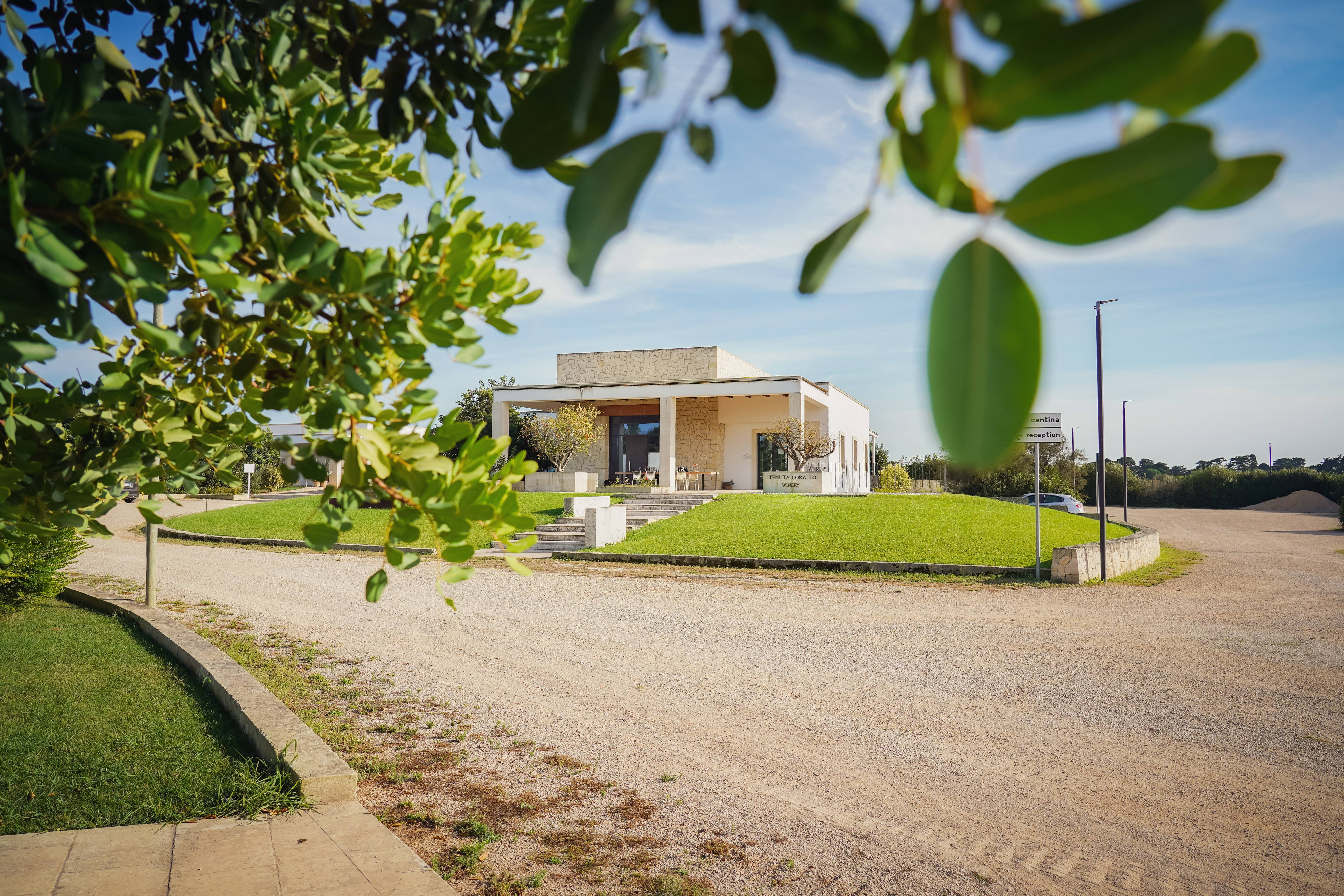 Classic Tasting 3 glasses