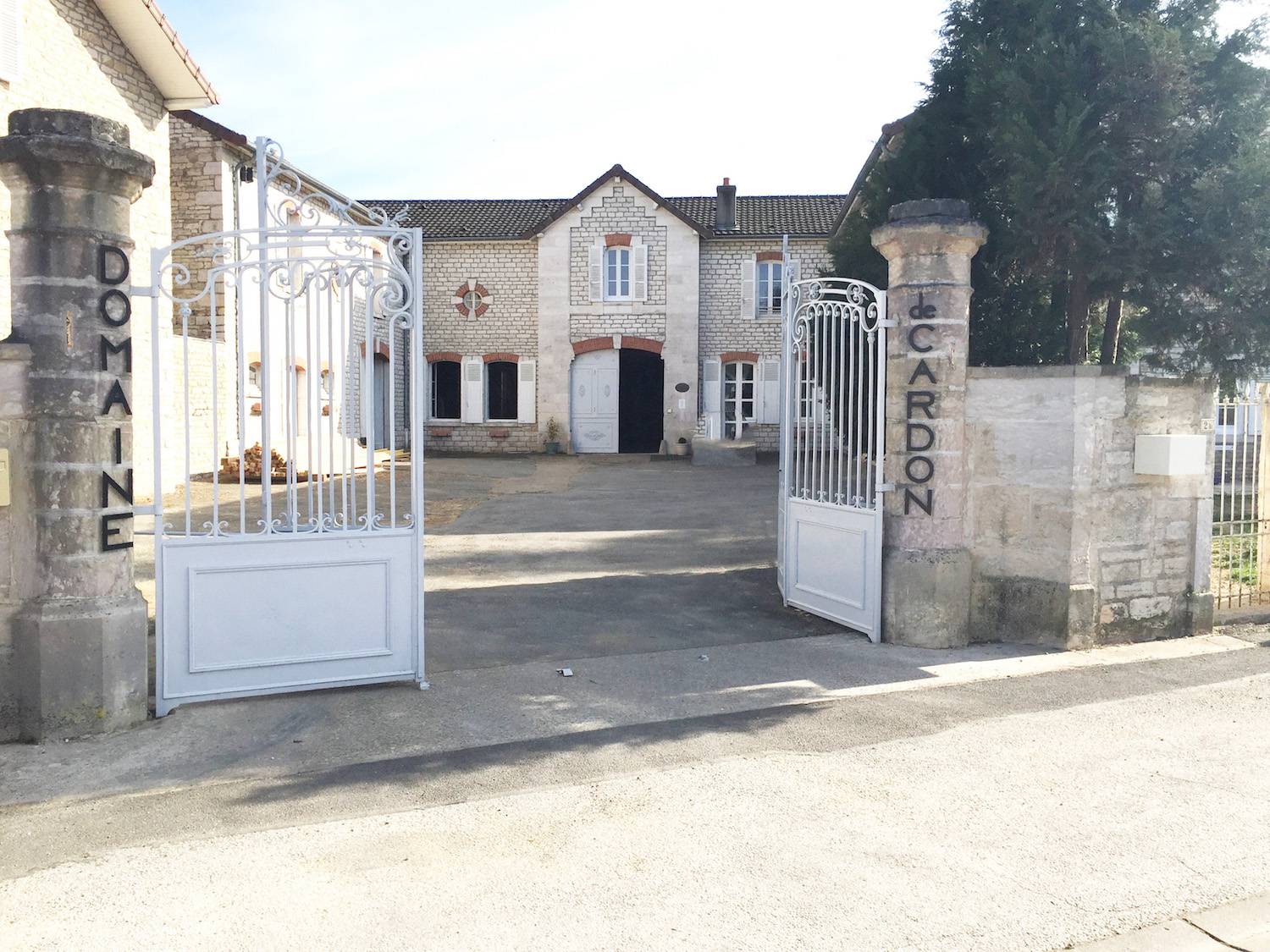 Visit and tasting: from the harvest to the bottle