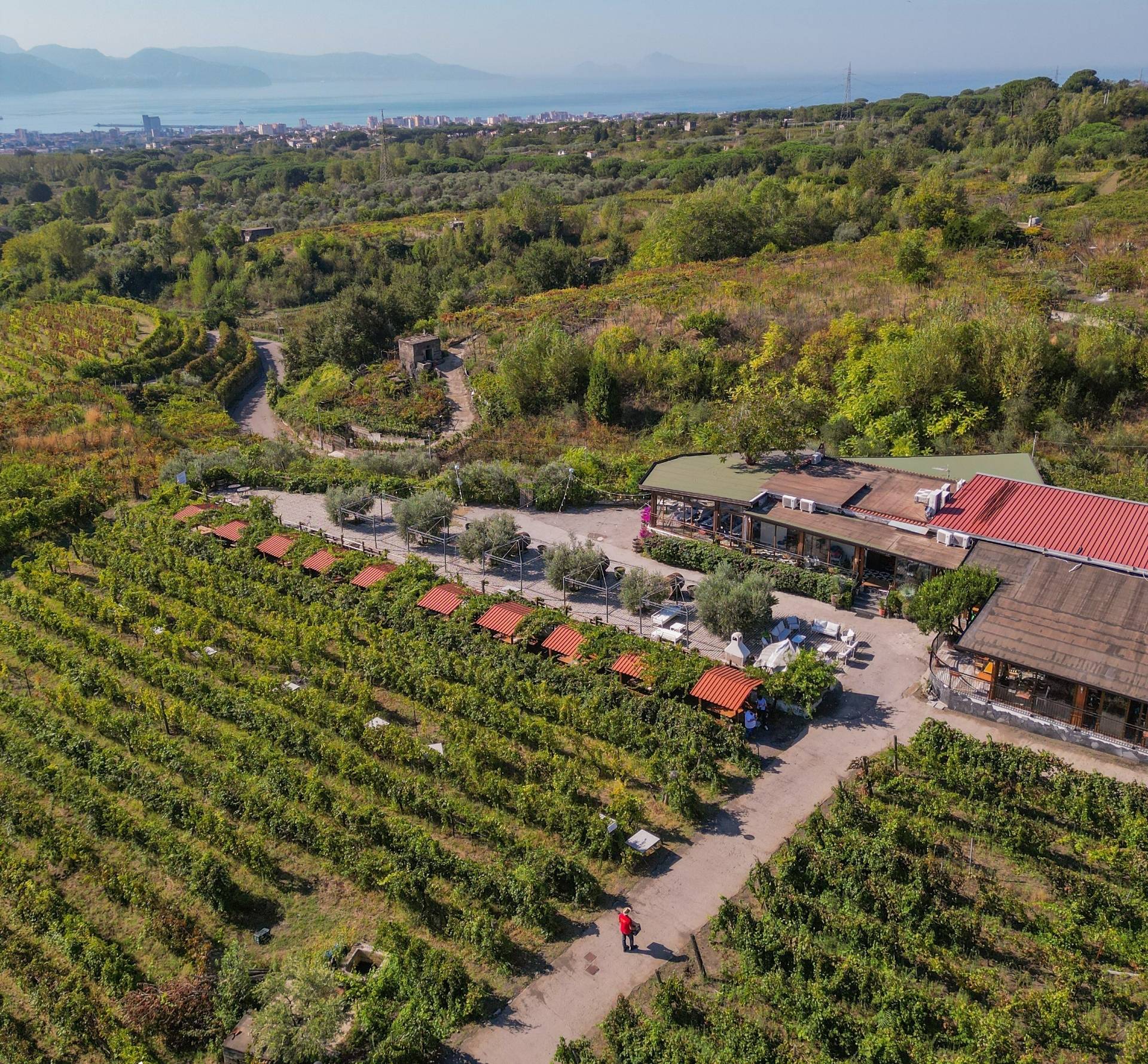 TENUTA SORRENTINO VESUVIO